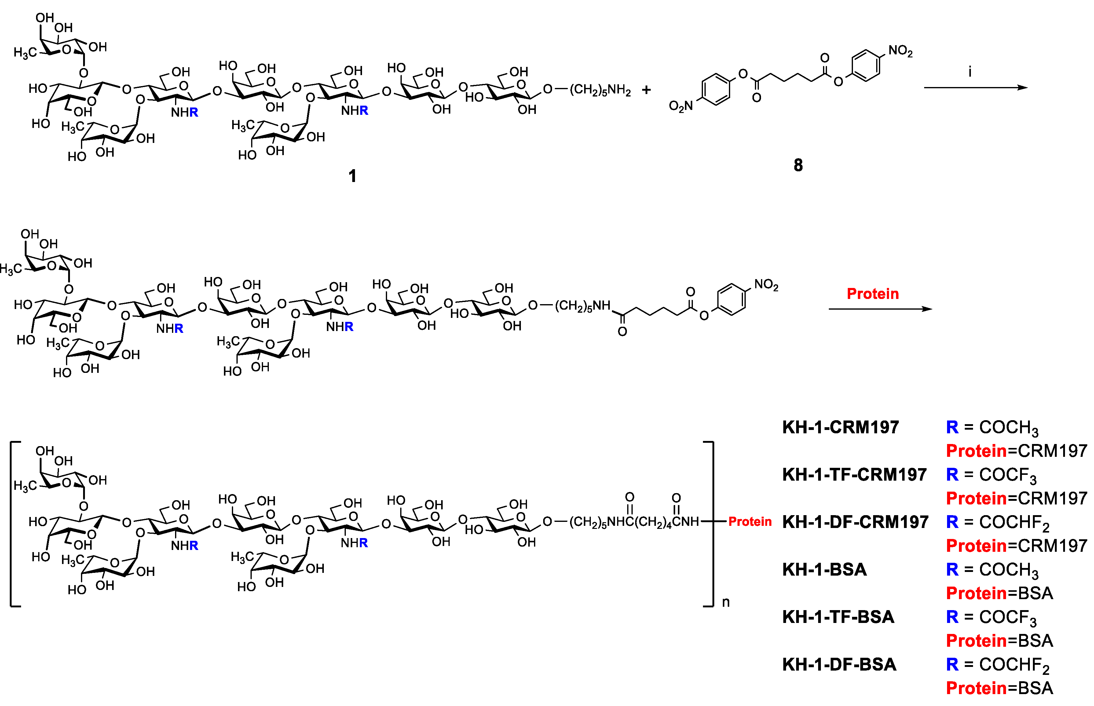 Molecules | Free Full-Text | Cancer Vaccines Based on Fluorine-Modified ...