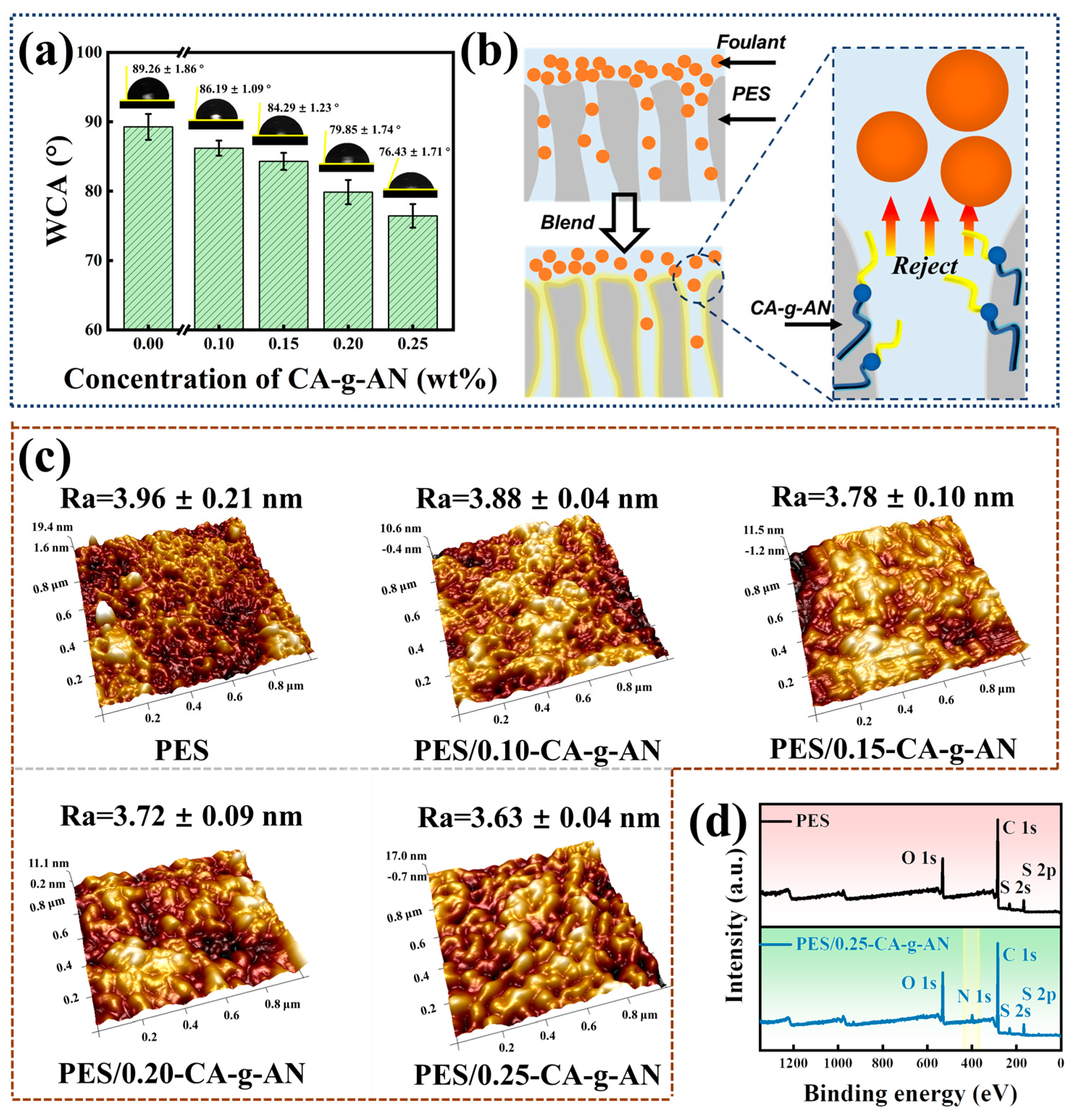 Molecules 28 01936 g005