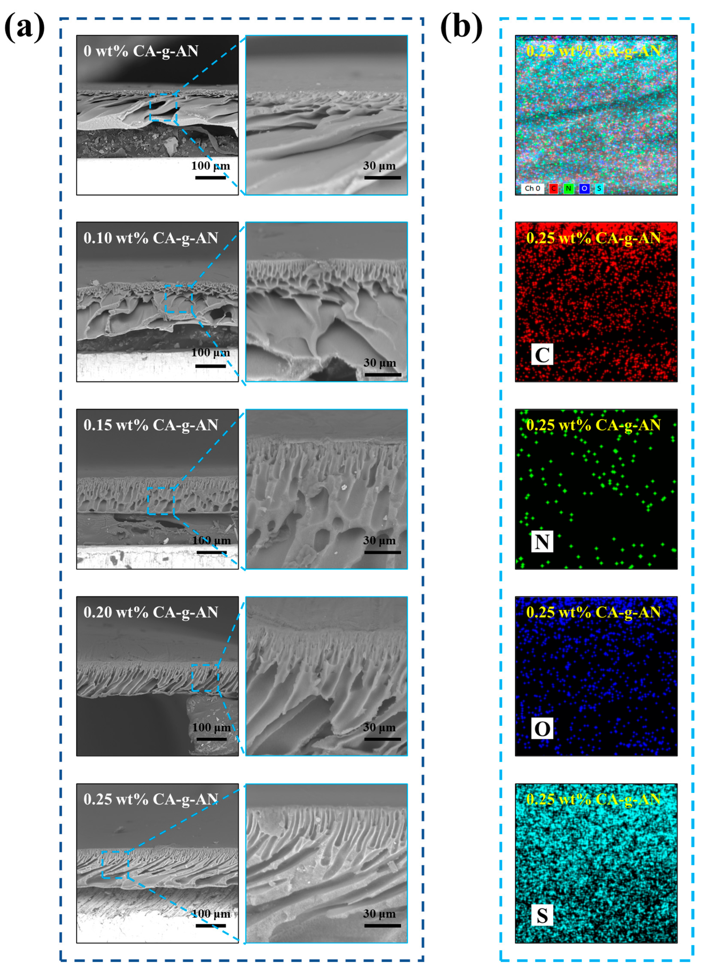 Molecules 28 01936 g006
