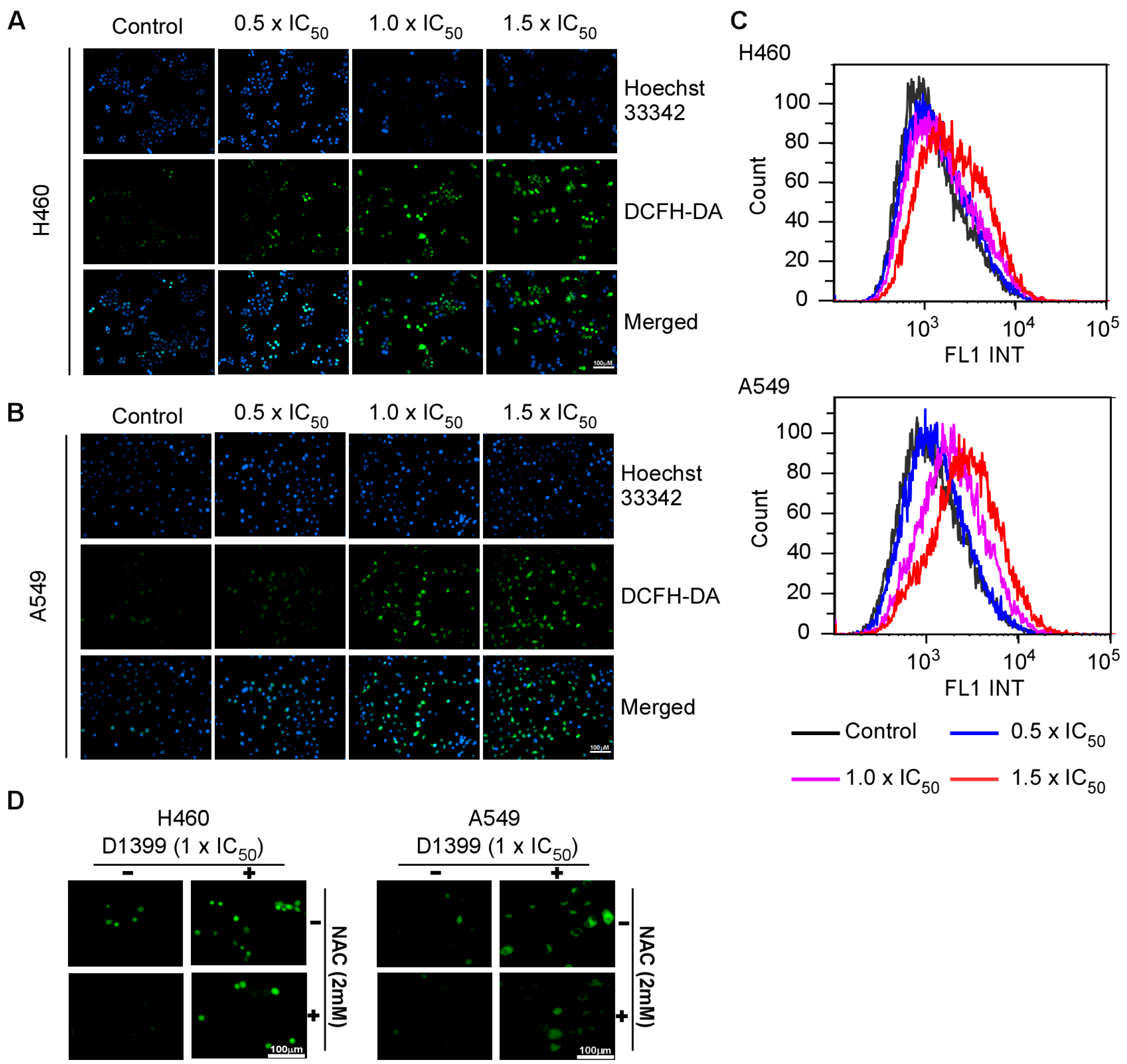 Molecules 28 01939 g004 Molecules 28 01939 g004