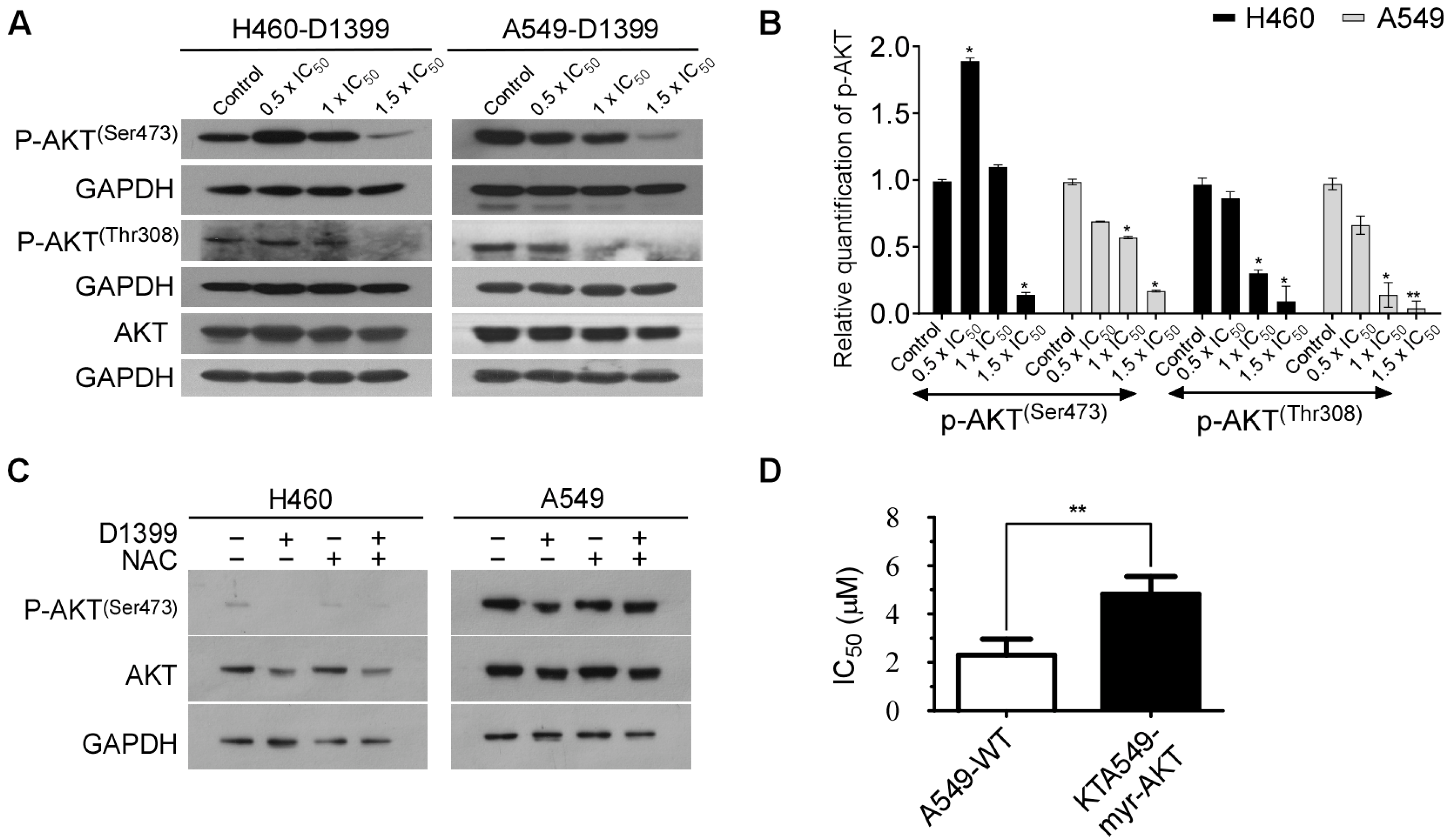Molecules 28 01939 g005 Molecules 28 01939 g005