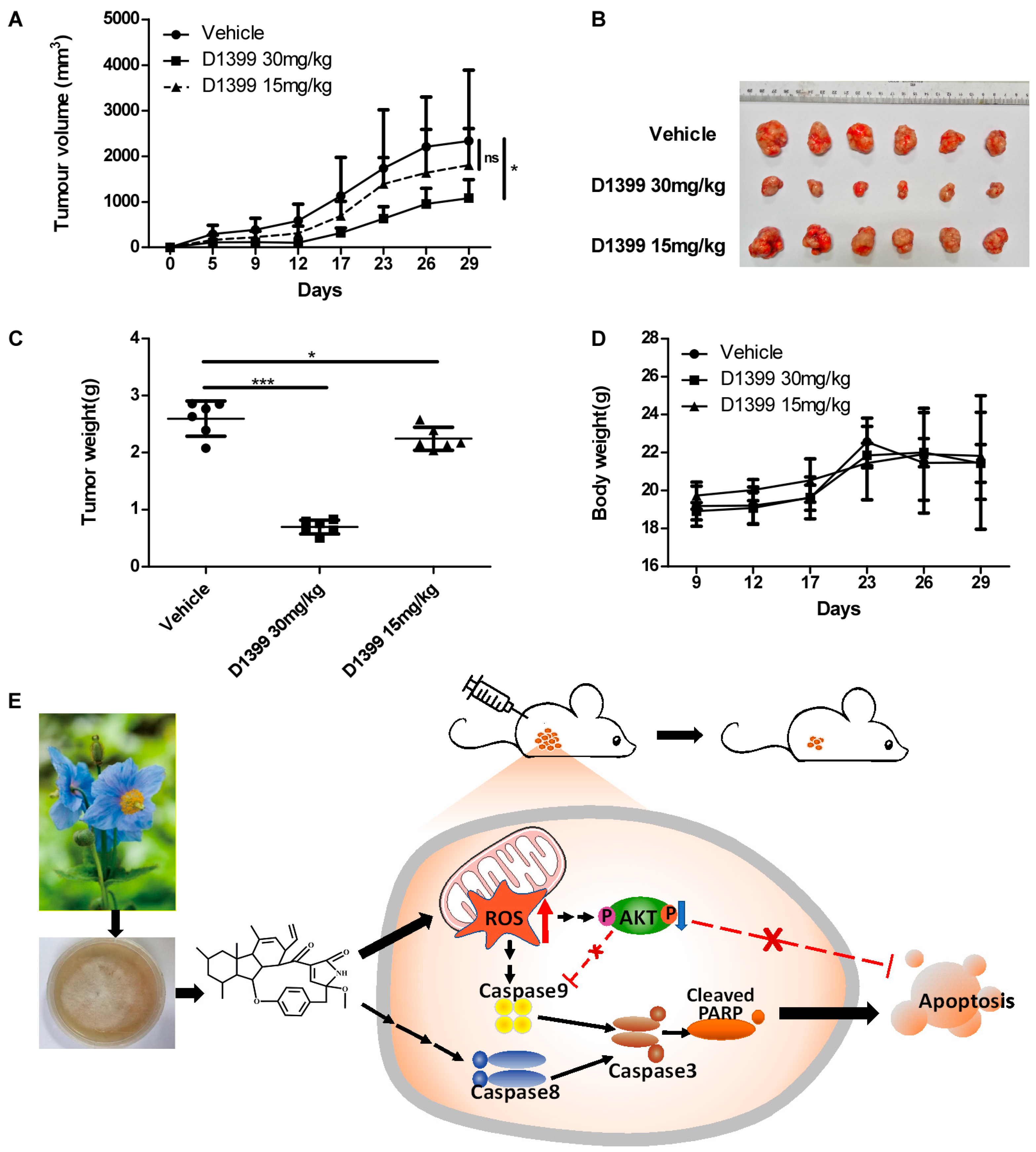 Molecules 28 01939 g006 Molecules 28 01939 g006