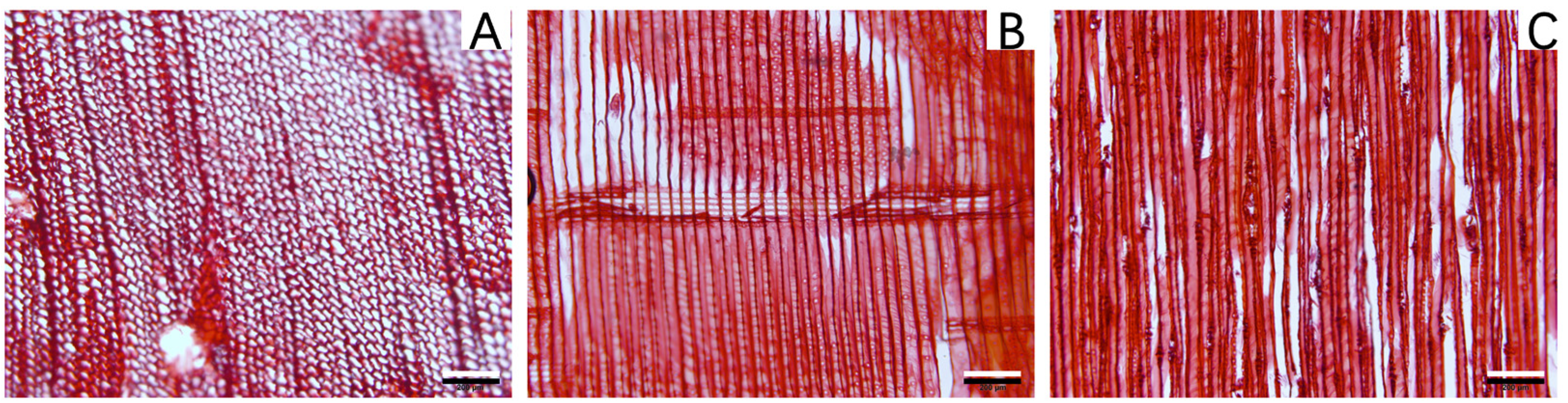 Molecules 28 01946 g001 Molecules 28 01946 g001
