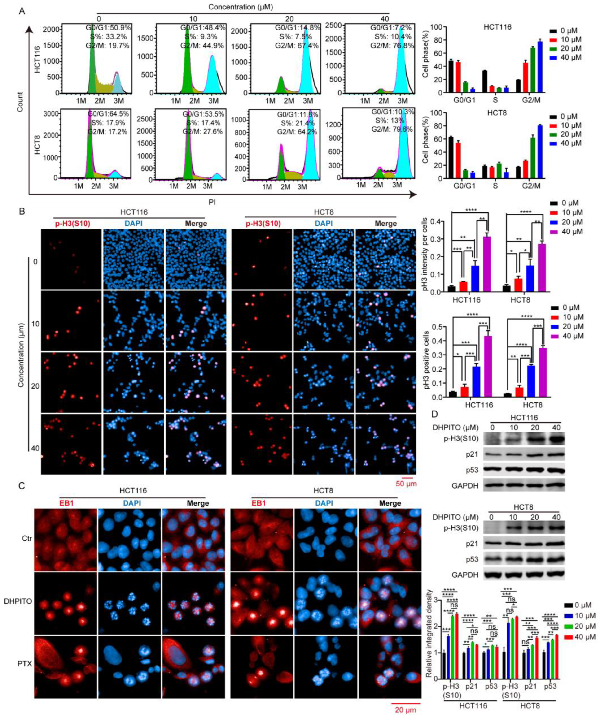 Molecules 28 01948 g003