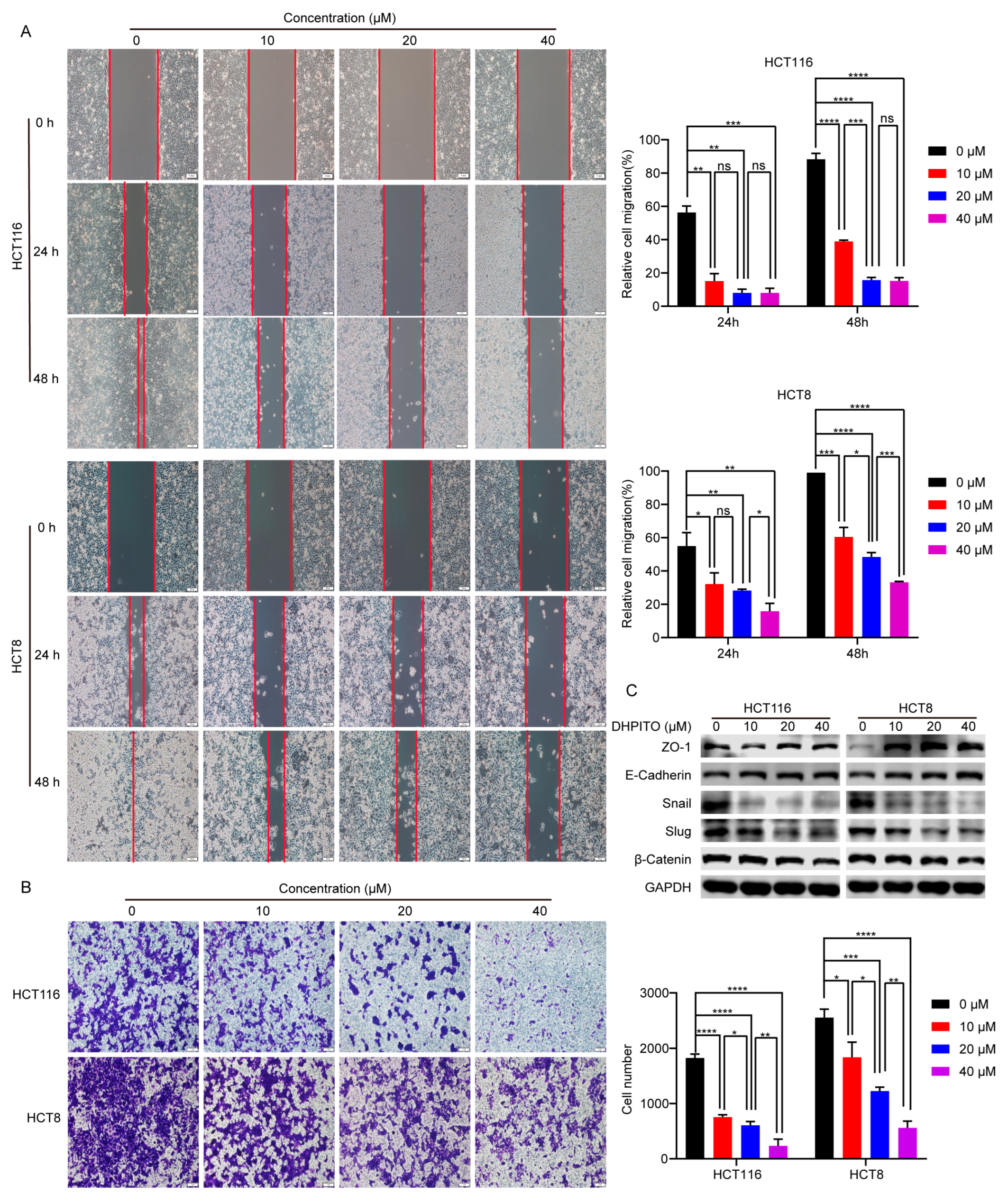Molecules 28 01948 g005
