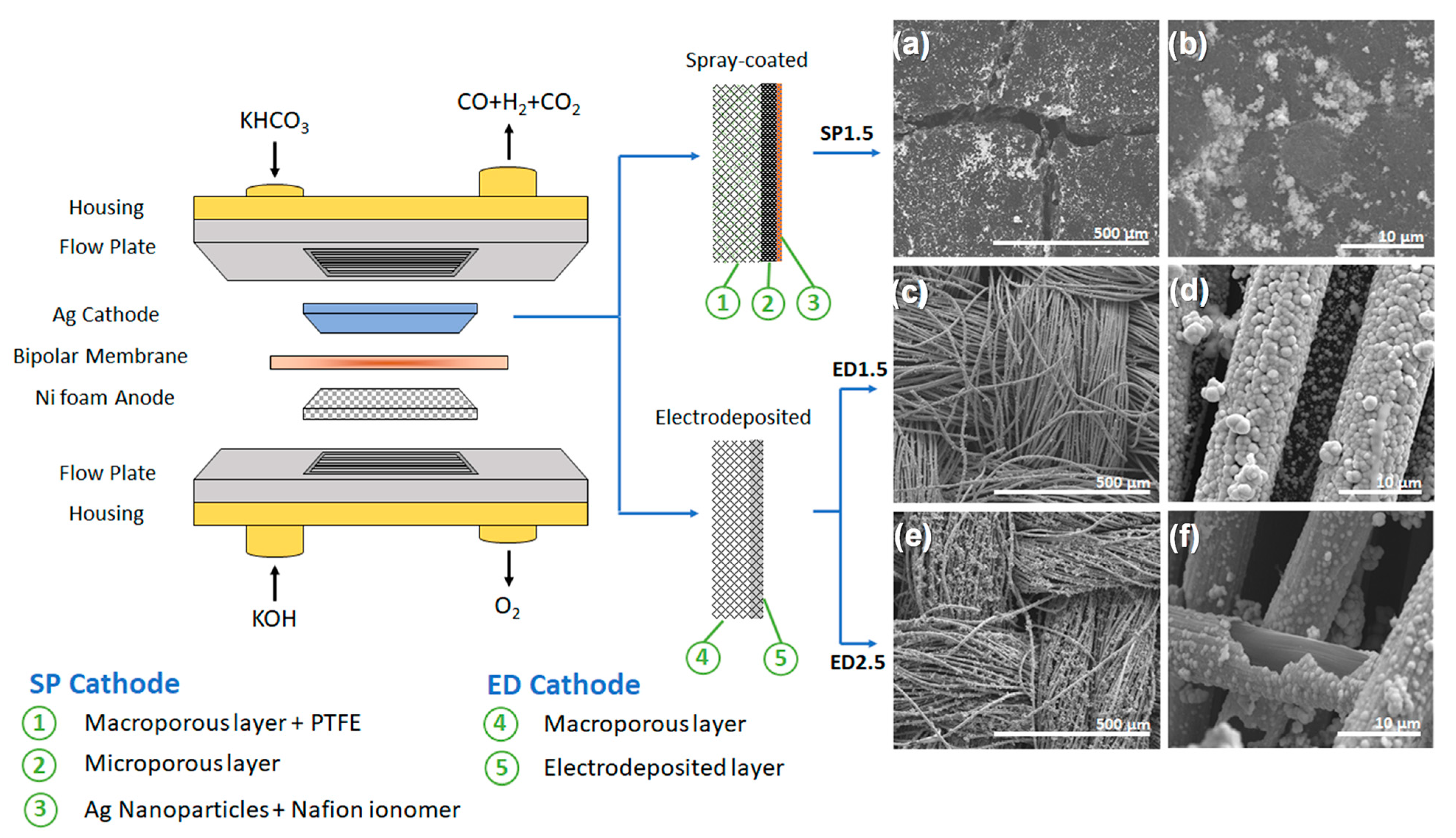 Molecules 28 01951 g001 Molecules 28 01951 g001