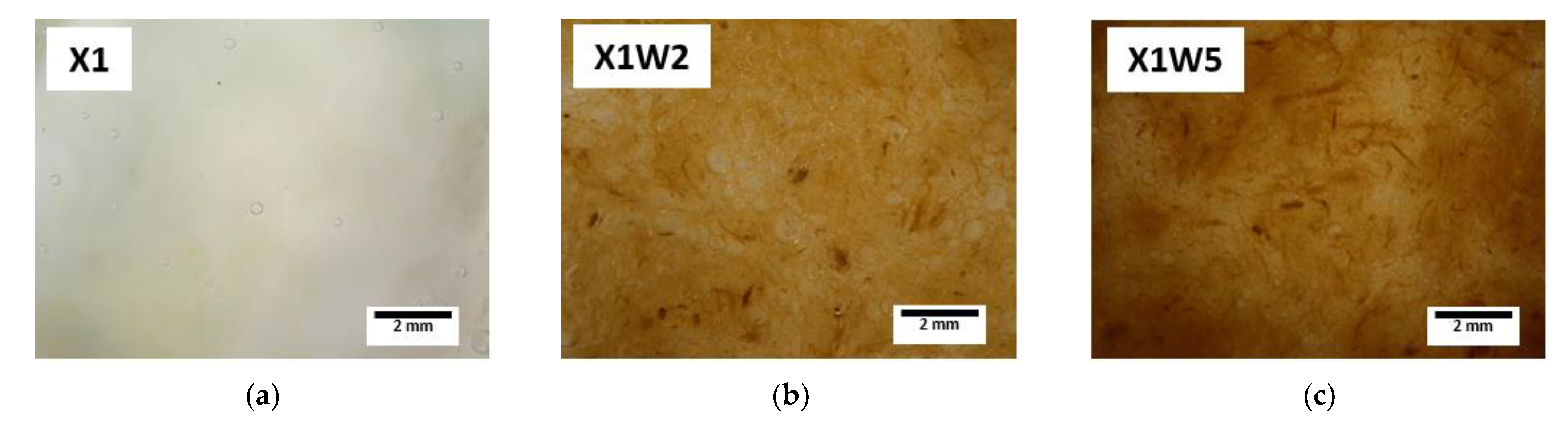 Molecules 28 01952 g003a Molecules 28 01952 g003a