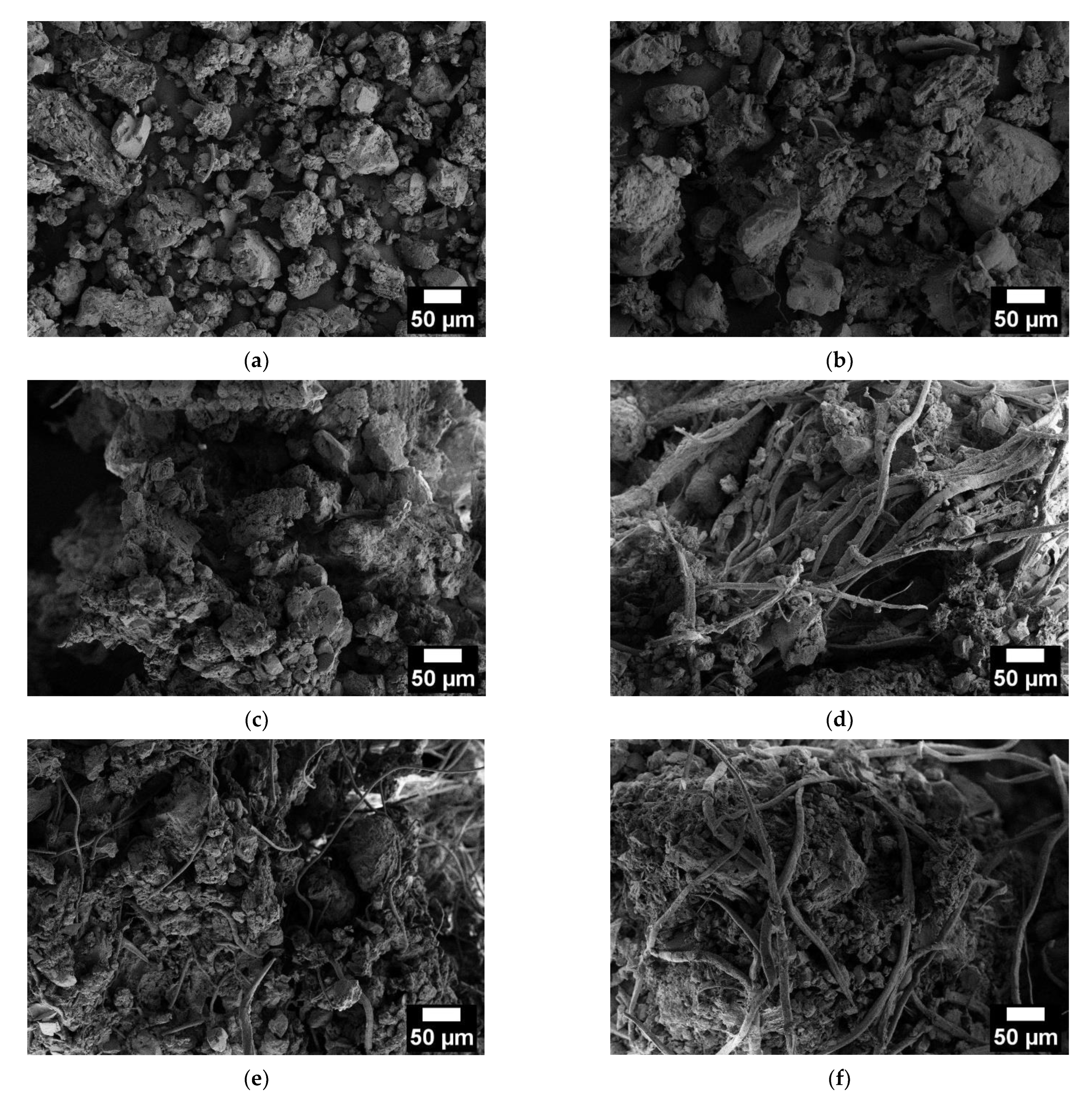 Molecules 28 01952 g006 Molecules 28 01952 g006