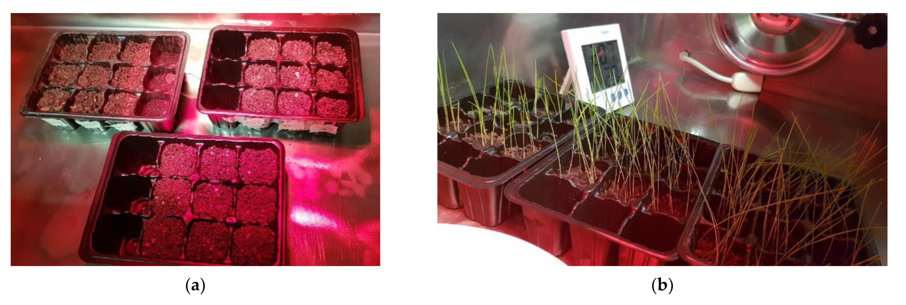 Molecules 28 01952 g009a Molecules 28 01952 g009a