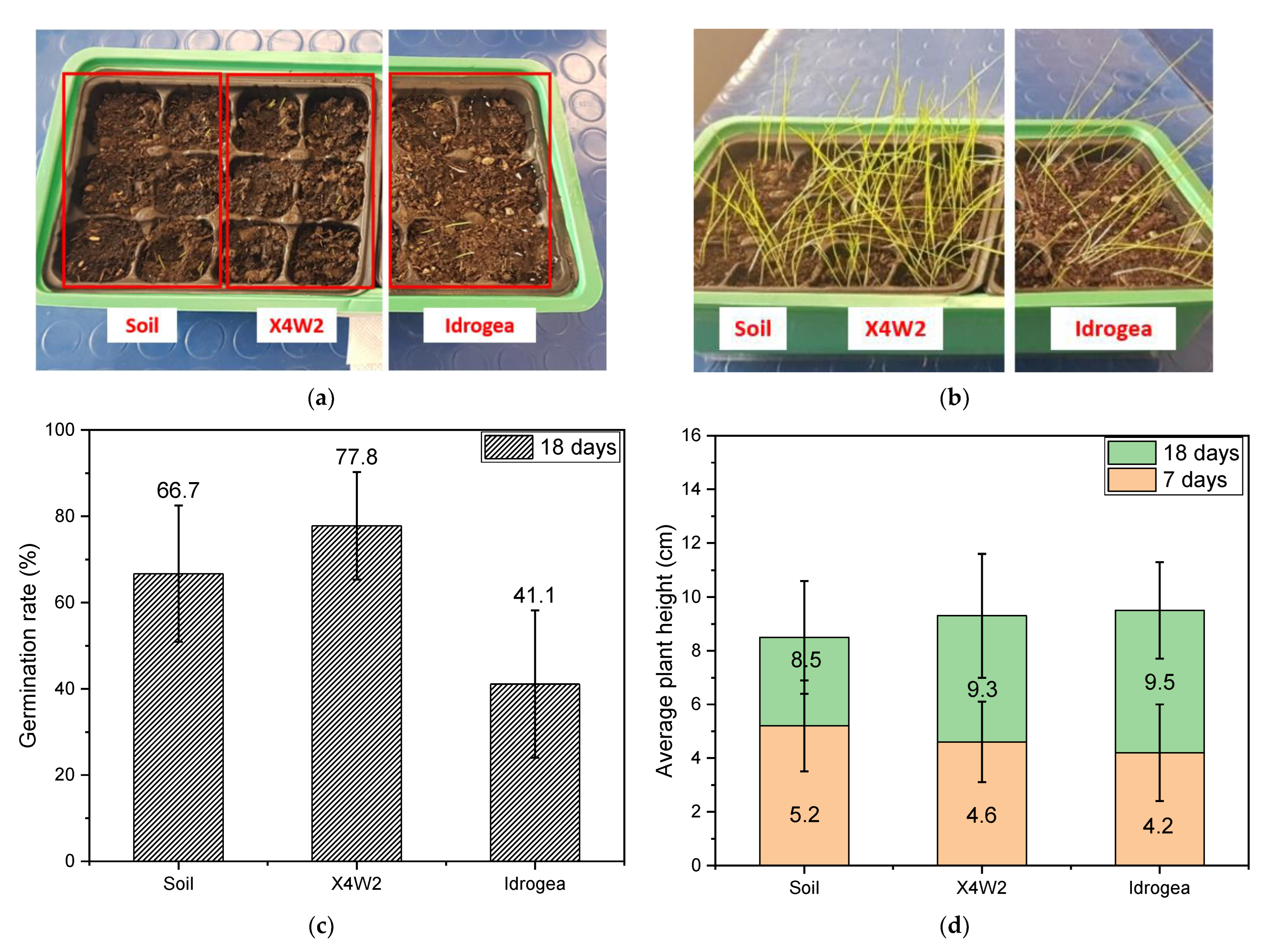 Molecules 28 01952 g011 Molecules 28 01952 g011
