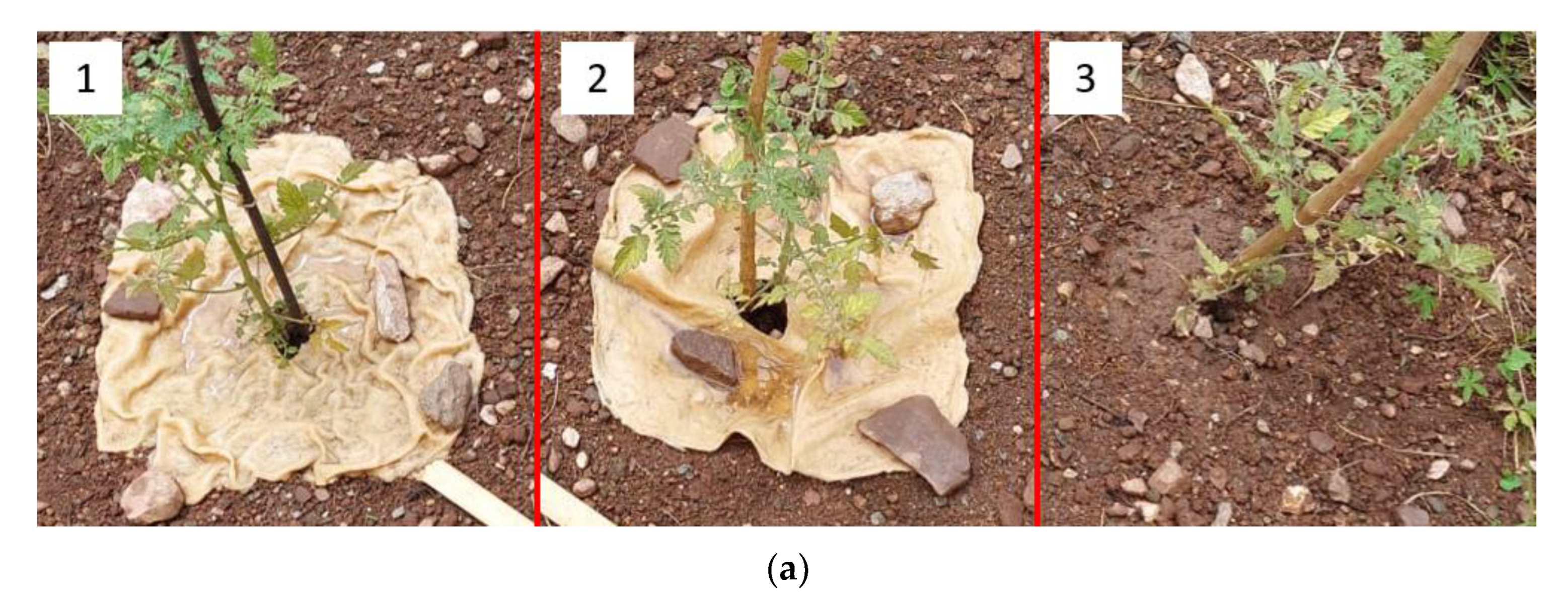 Molecules 28 01952 g013a Molecules 28 01952 g013a