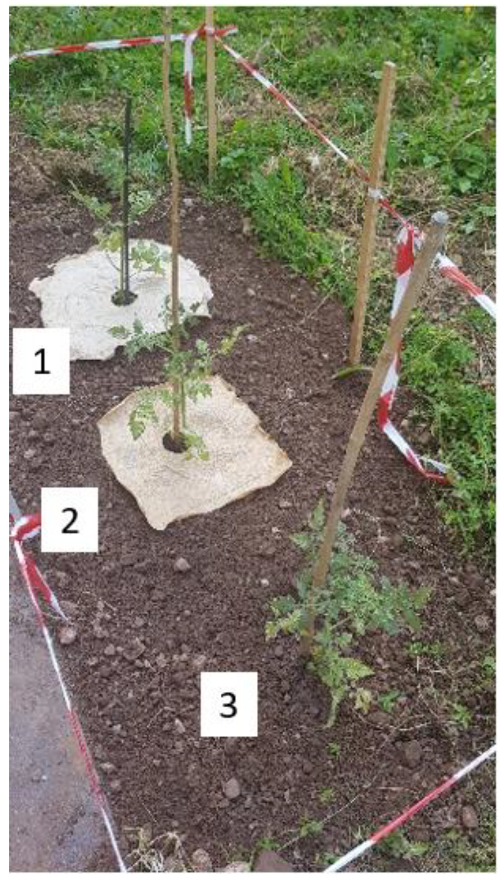 Molecules 28 01952 g016 Molecules 28 01952 g016