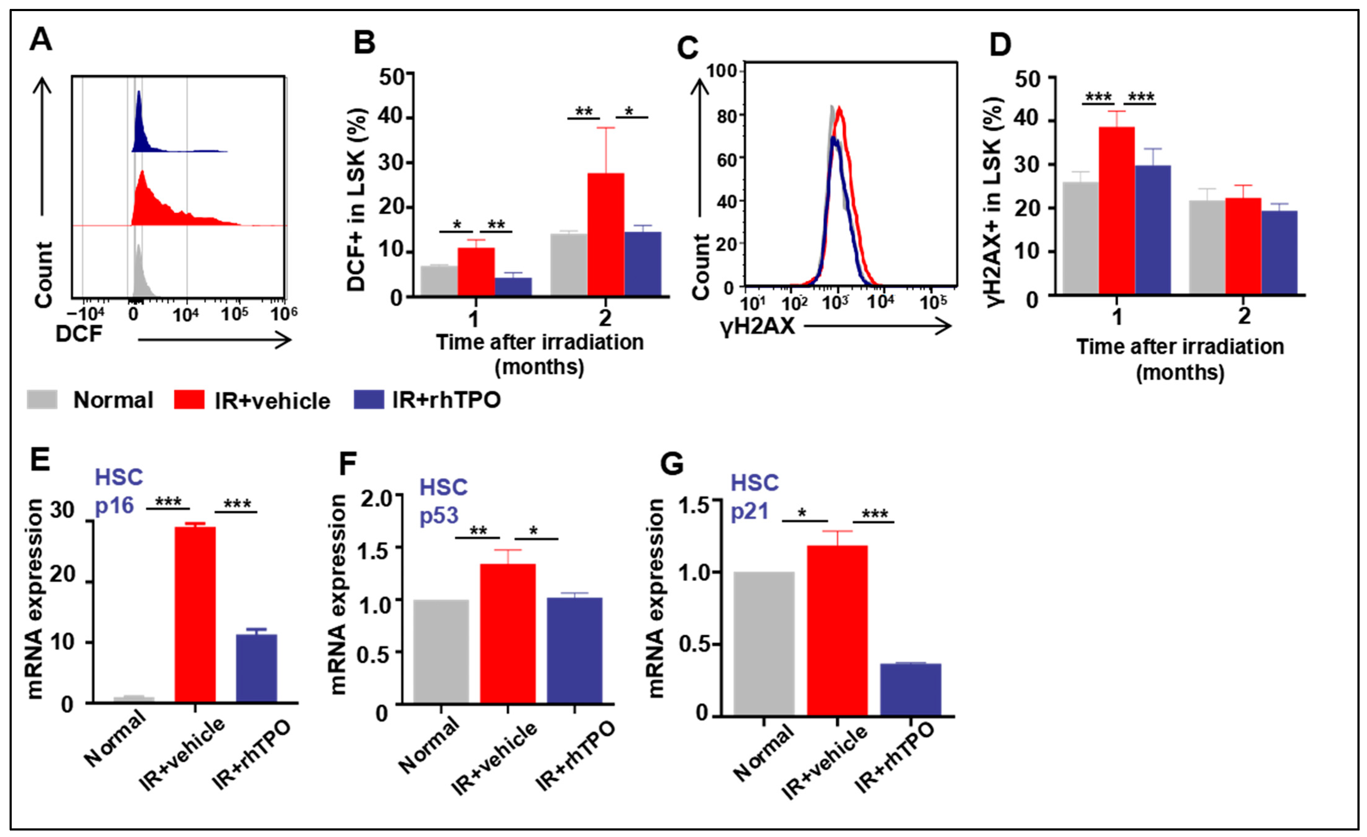 Molecules 28 01953 g005 Molecules 28 01953 g005