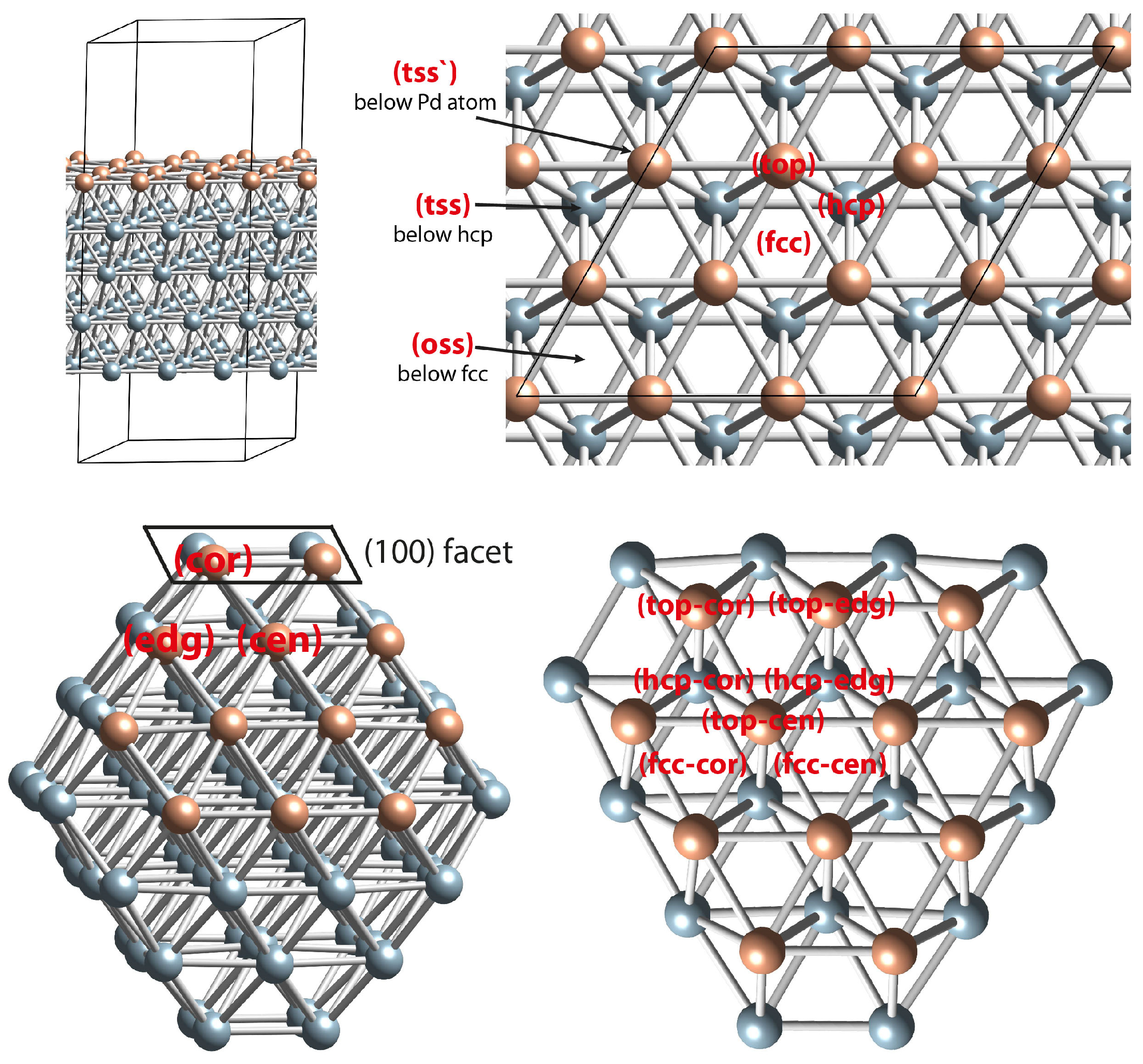 Molecules 28 01957 g009