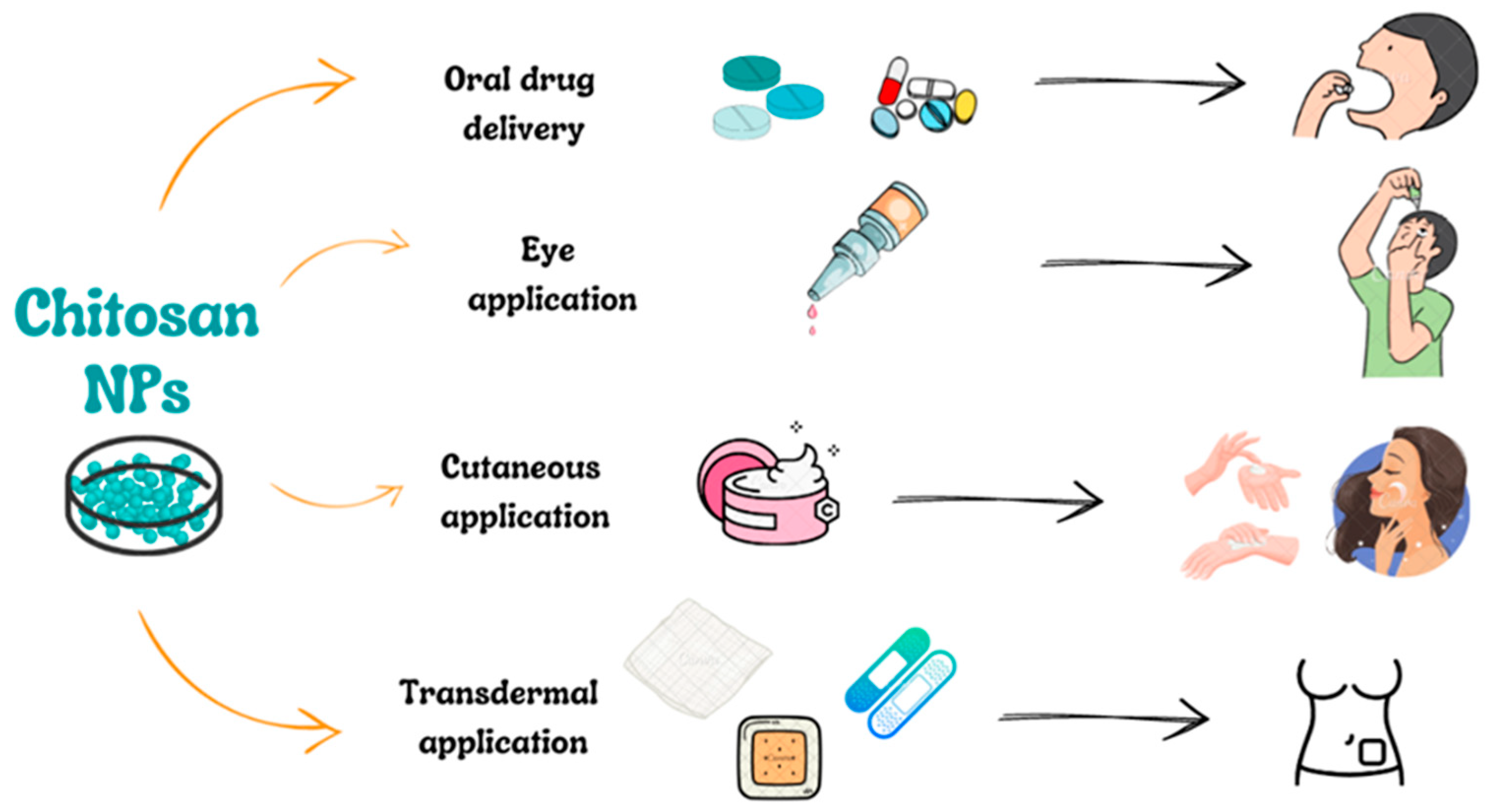 Drug Delivery - Chitosan 