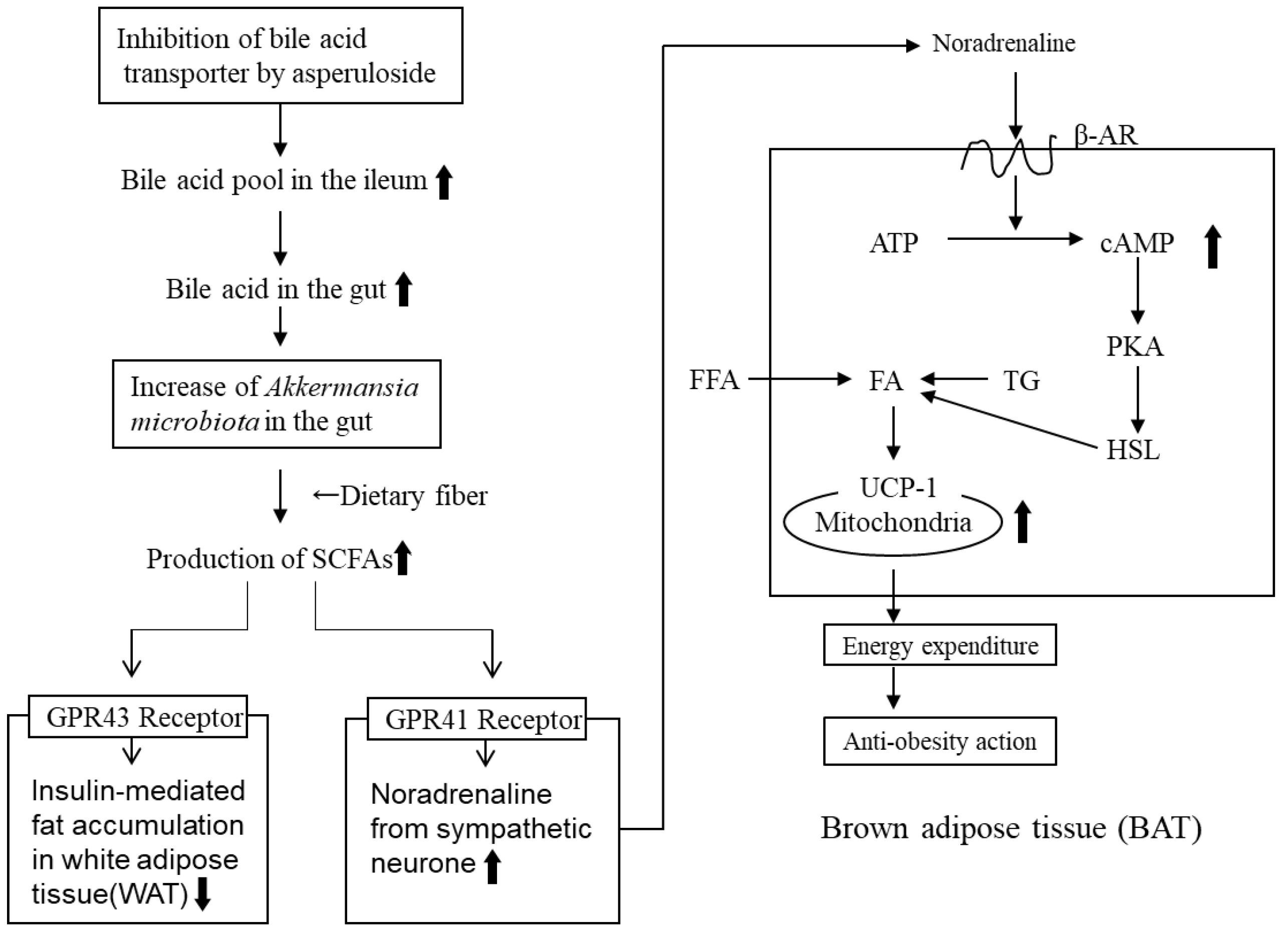 Molecules 28 01964 g005 Molecules 28 01964 g005