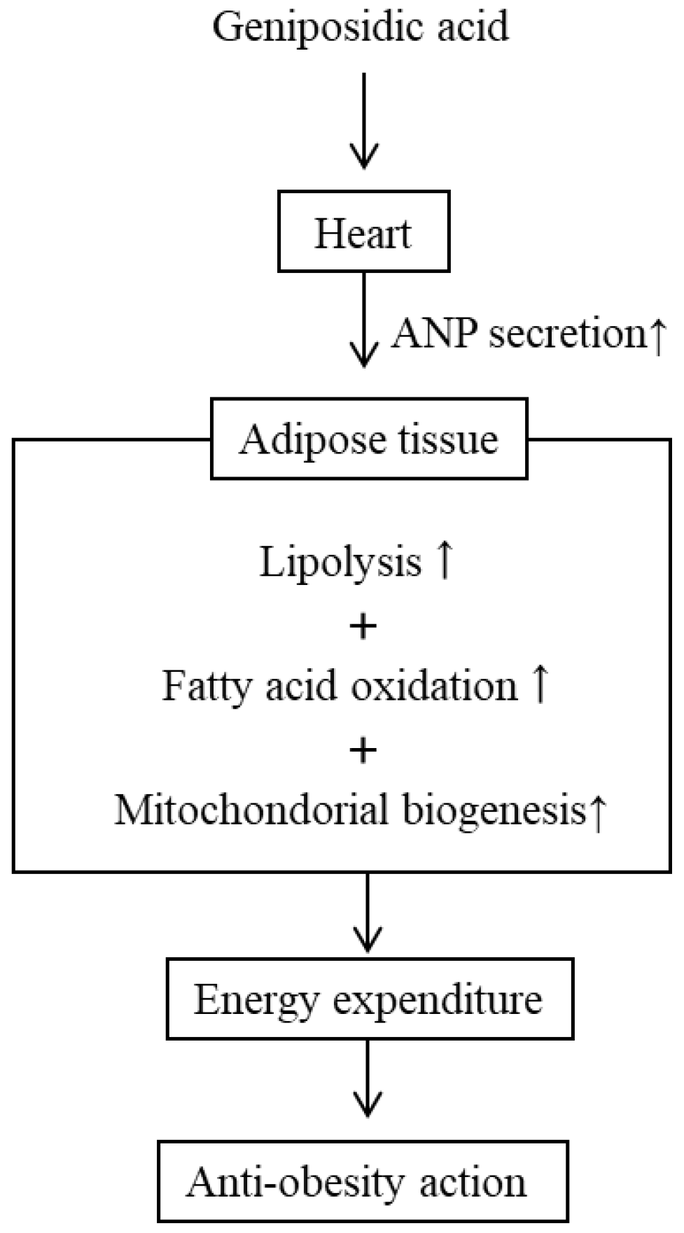 Molecules 28 01964 g006 Molecules 28 01964 g006
