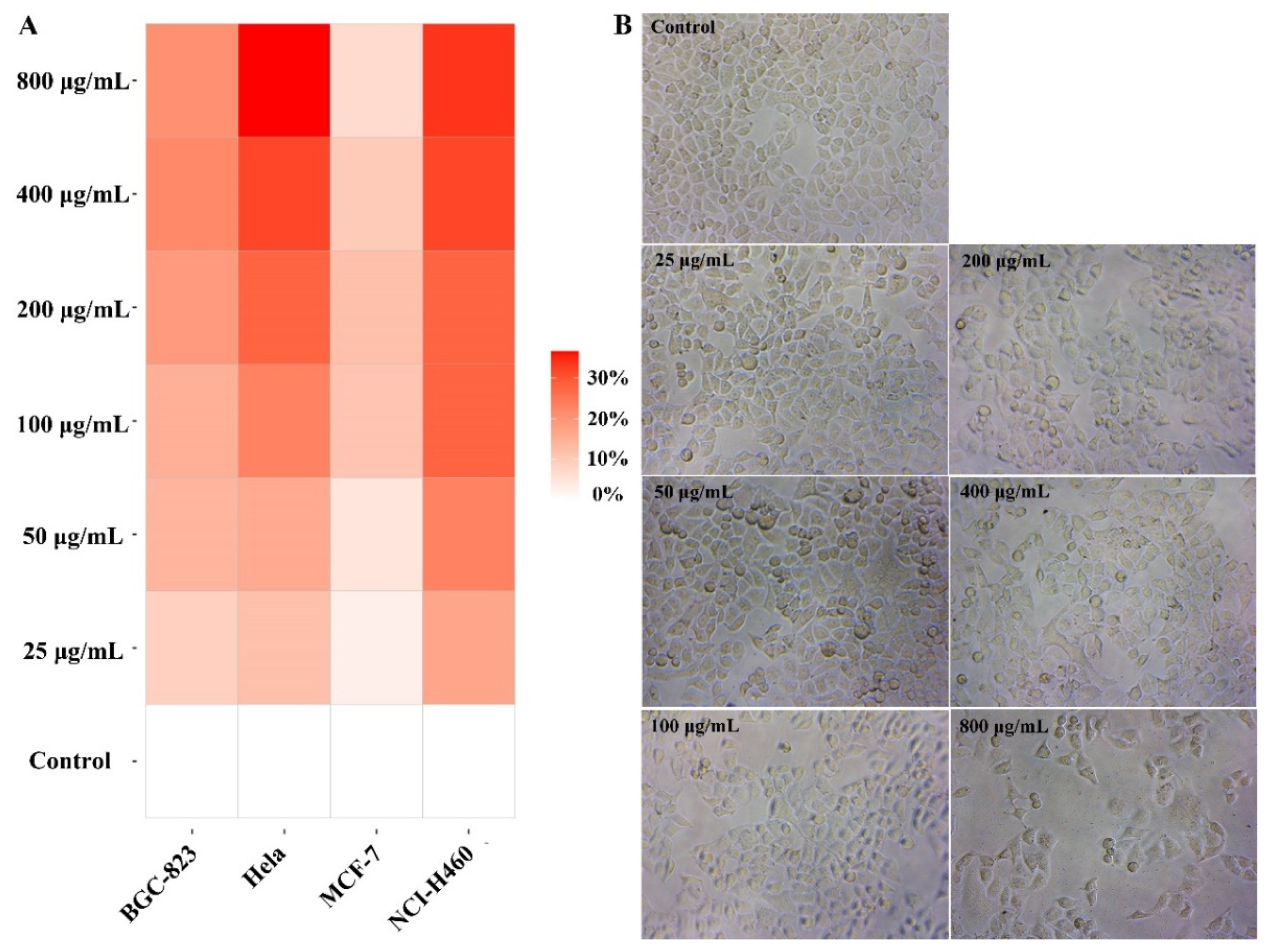 Molecules 28 01971 g003 Molecules 28 01971 g003
