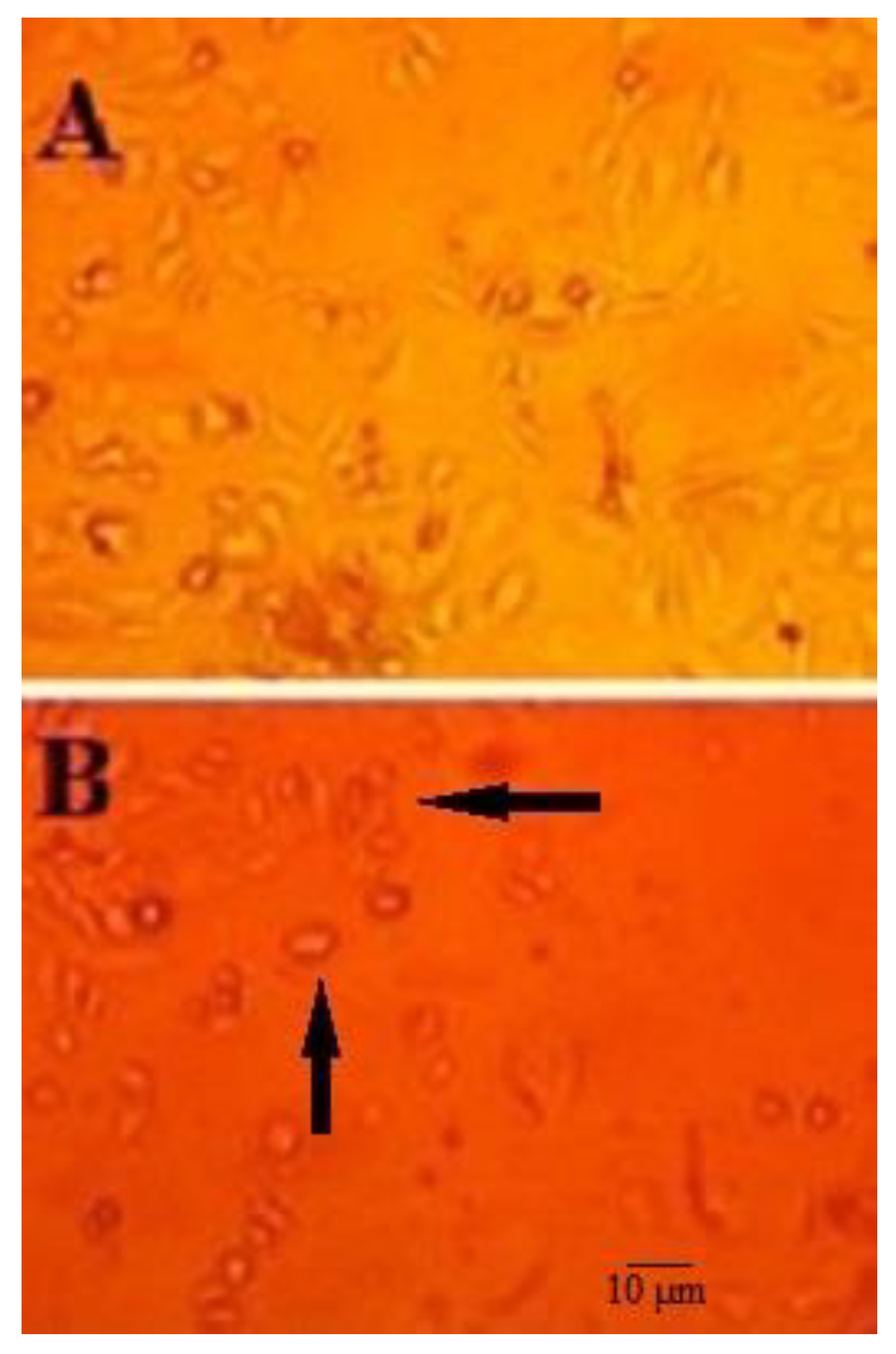 Molecules 28 01972 g002 Molecules 28 01972 g002