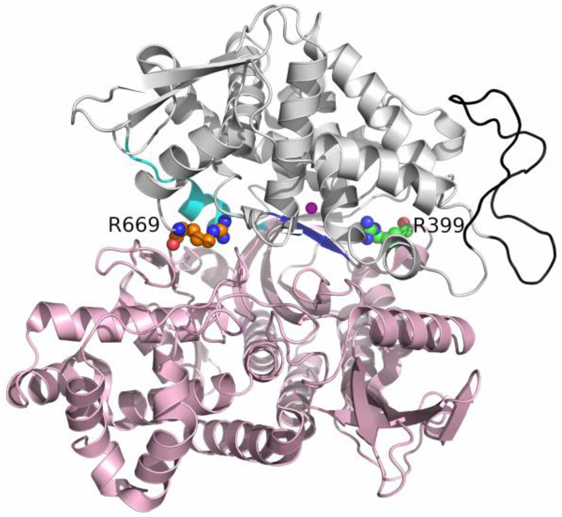 Molecules 28 01976 g001