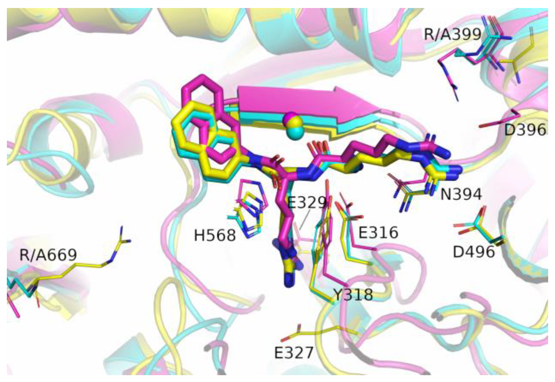 Molecules 28 01976 g005