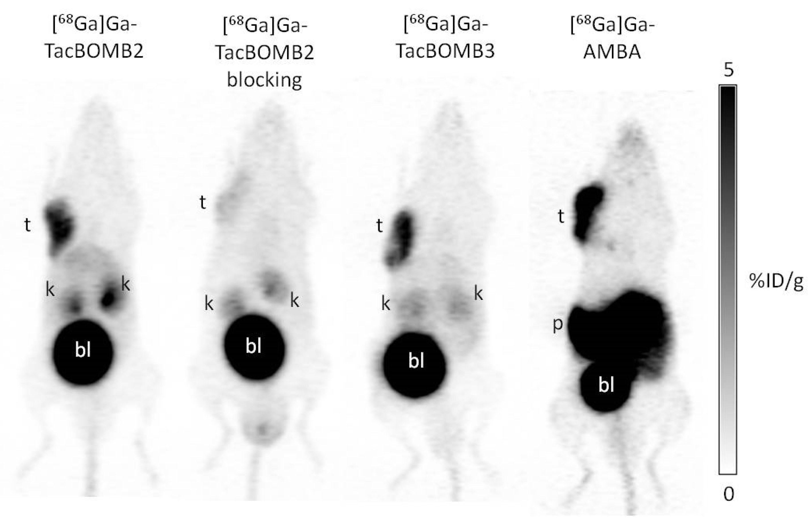 Molecules 28 01977 g004 Molecules 28 01977 g004