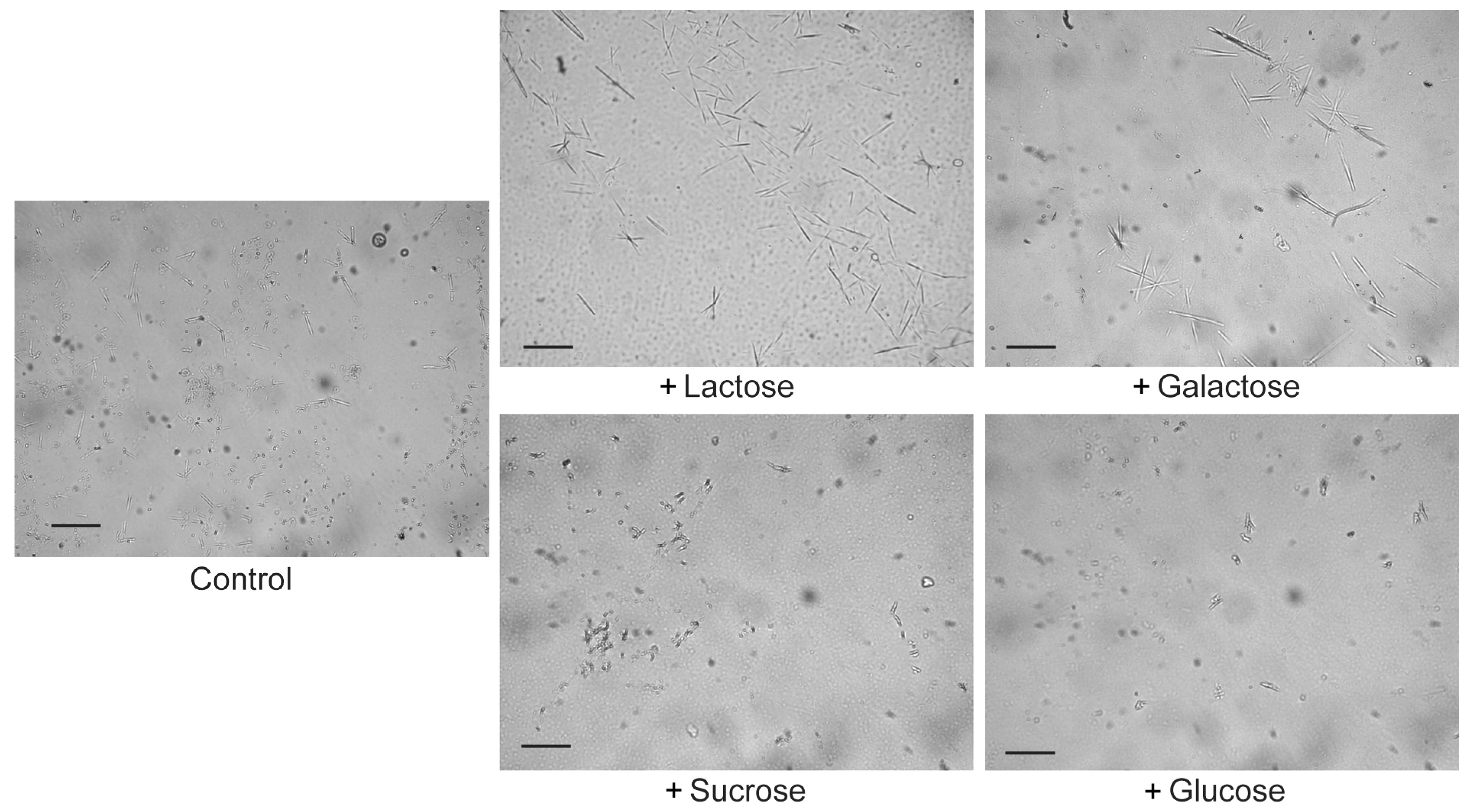 Molecules 28 01979 g003 Molecules 28 01979 g003