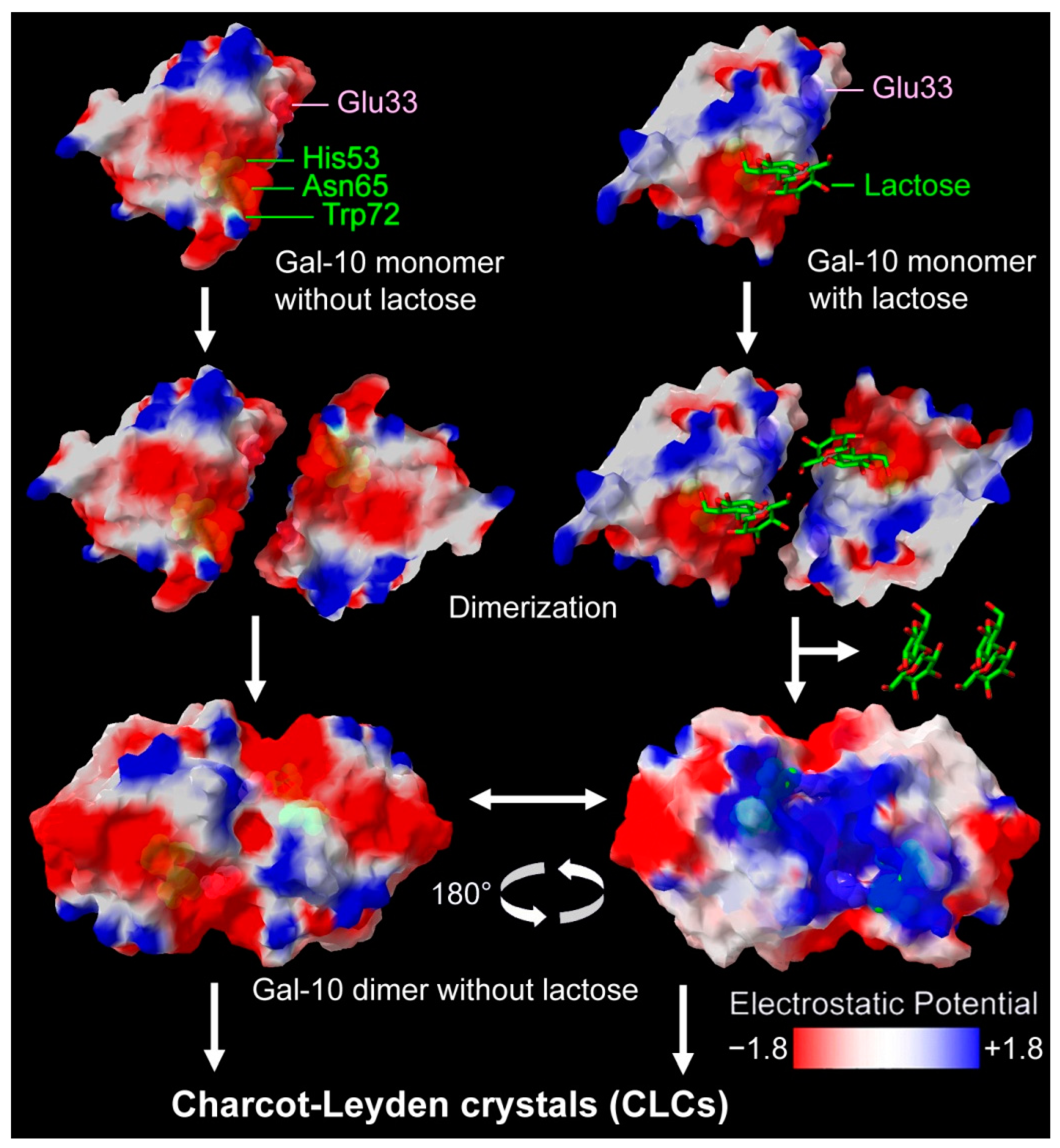 Molecules 28 01979 g005 Molecules 28 01979 g005