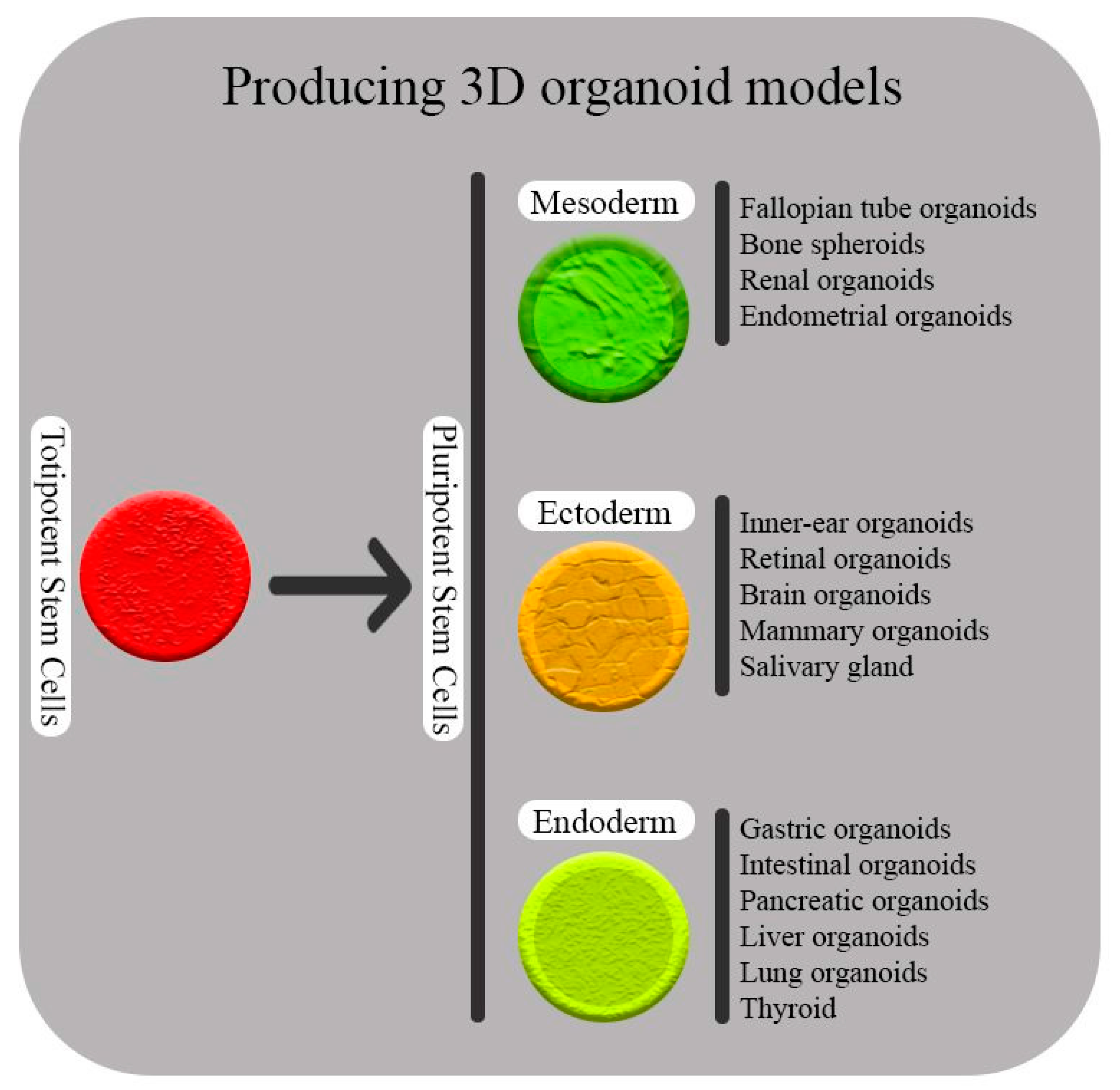 Molecules 28 01982 g001 Molecules 28 01982 g001