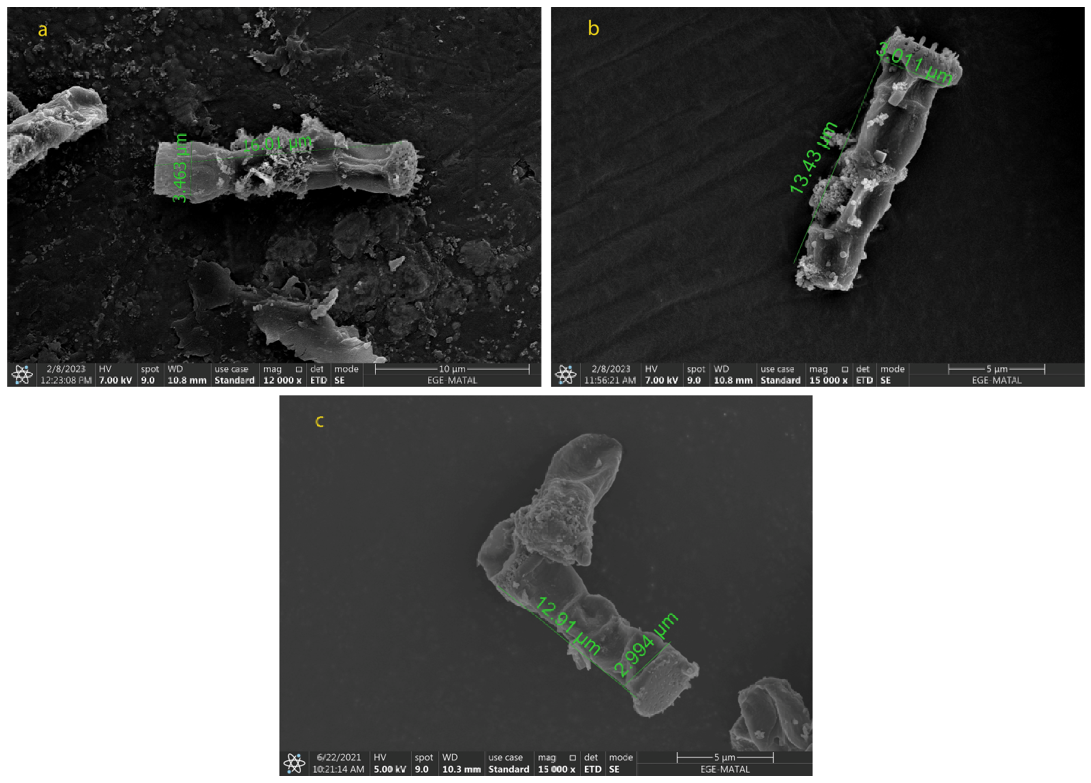 Molecules 28 01988 g004 Molecules 28 01988 g004