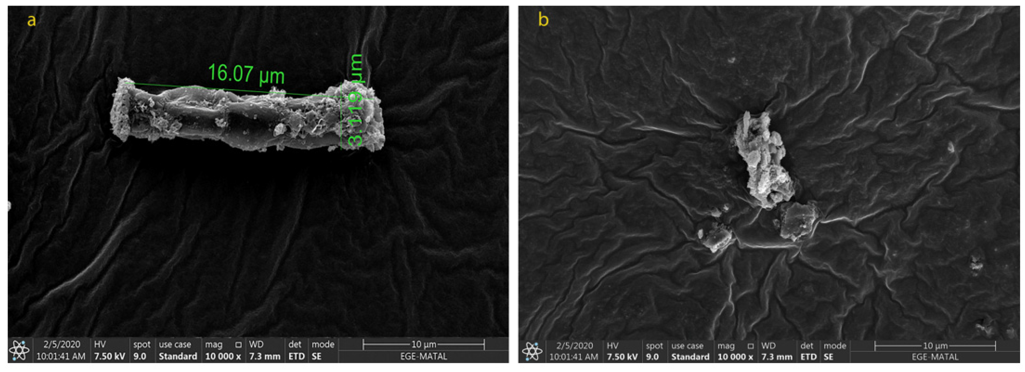Molecules 28 01988 g005 Molecules 28 01988 g005