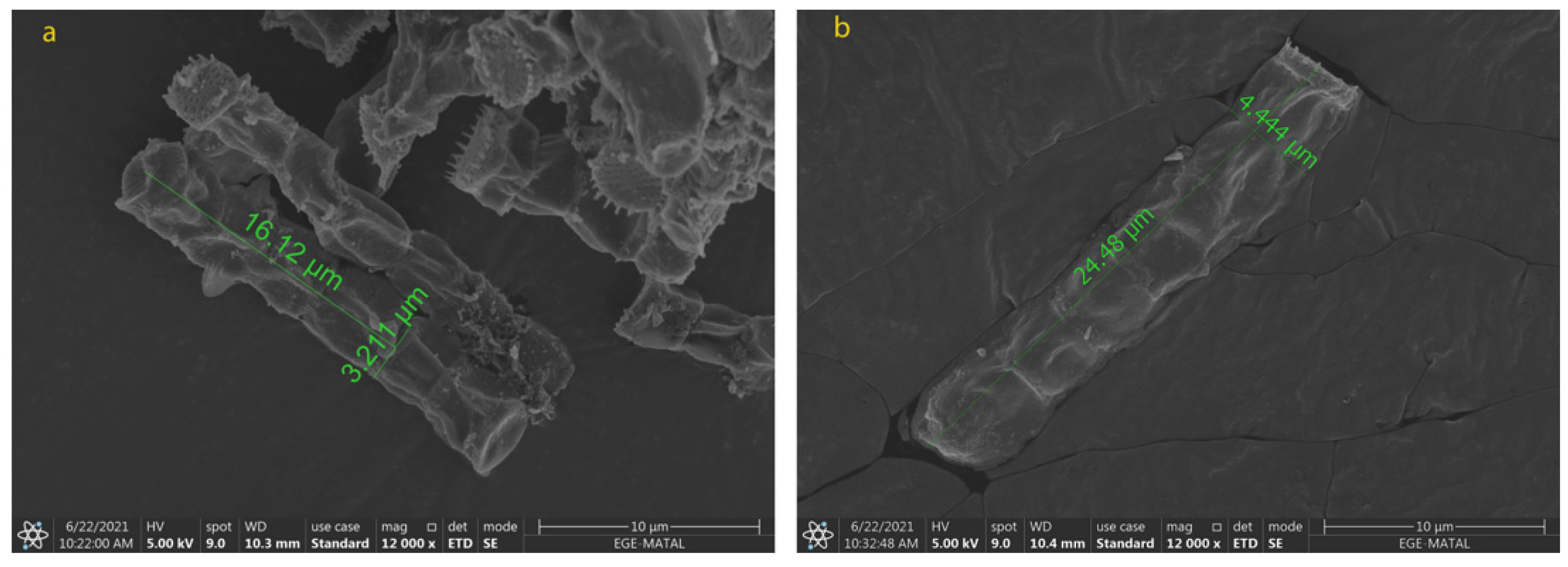 Molecules 28 01988 g006 Molecules 28 01988 g006