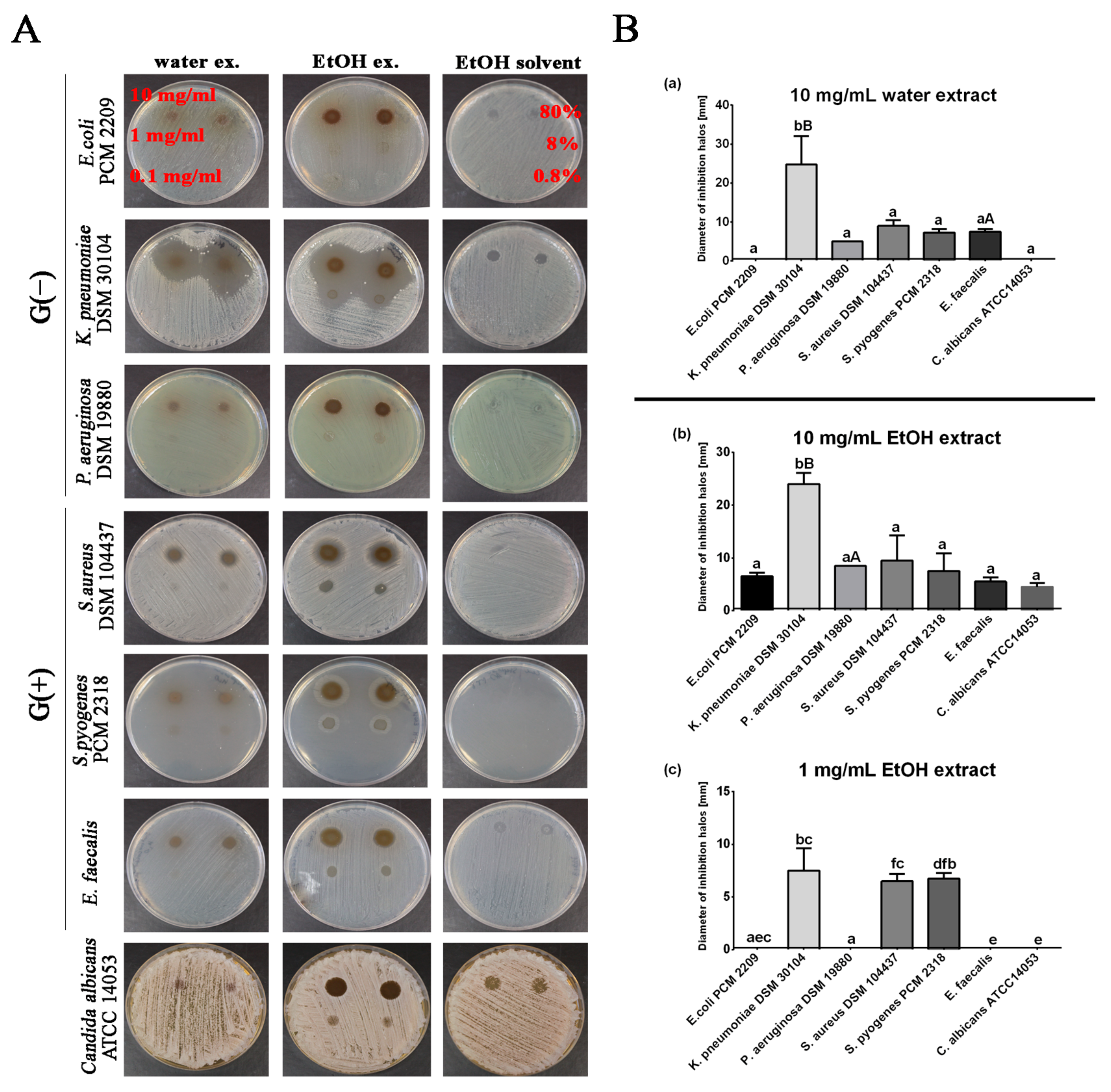 Molecules 28 01989 g002 Molecules 28 01989 g002