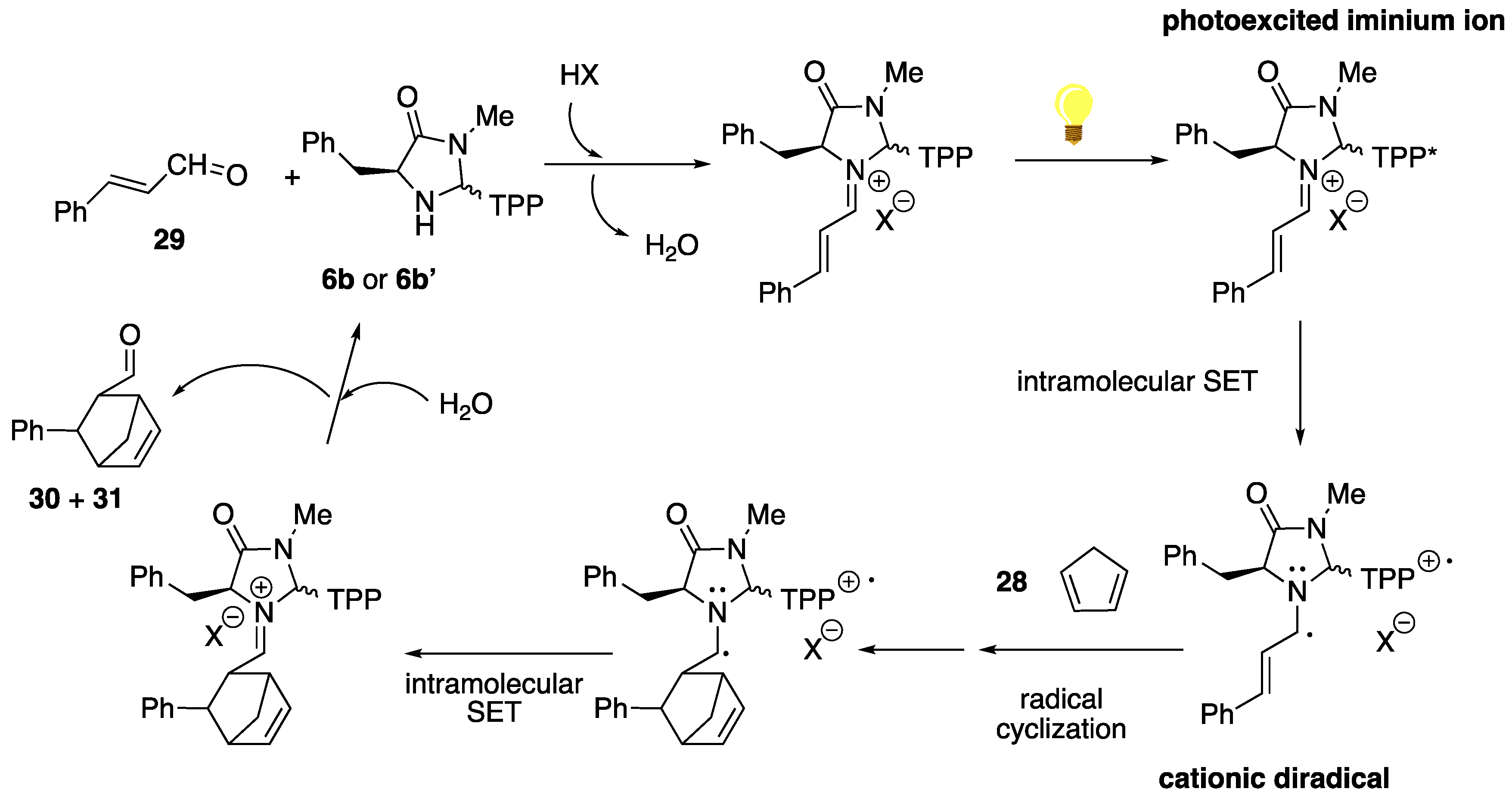 Molecules 28 01997 sch012 Molecules 28 01997 sch012