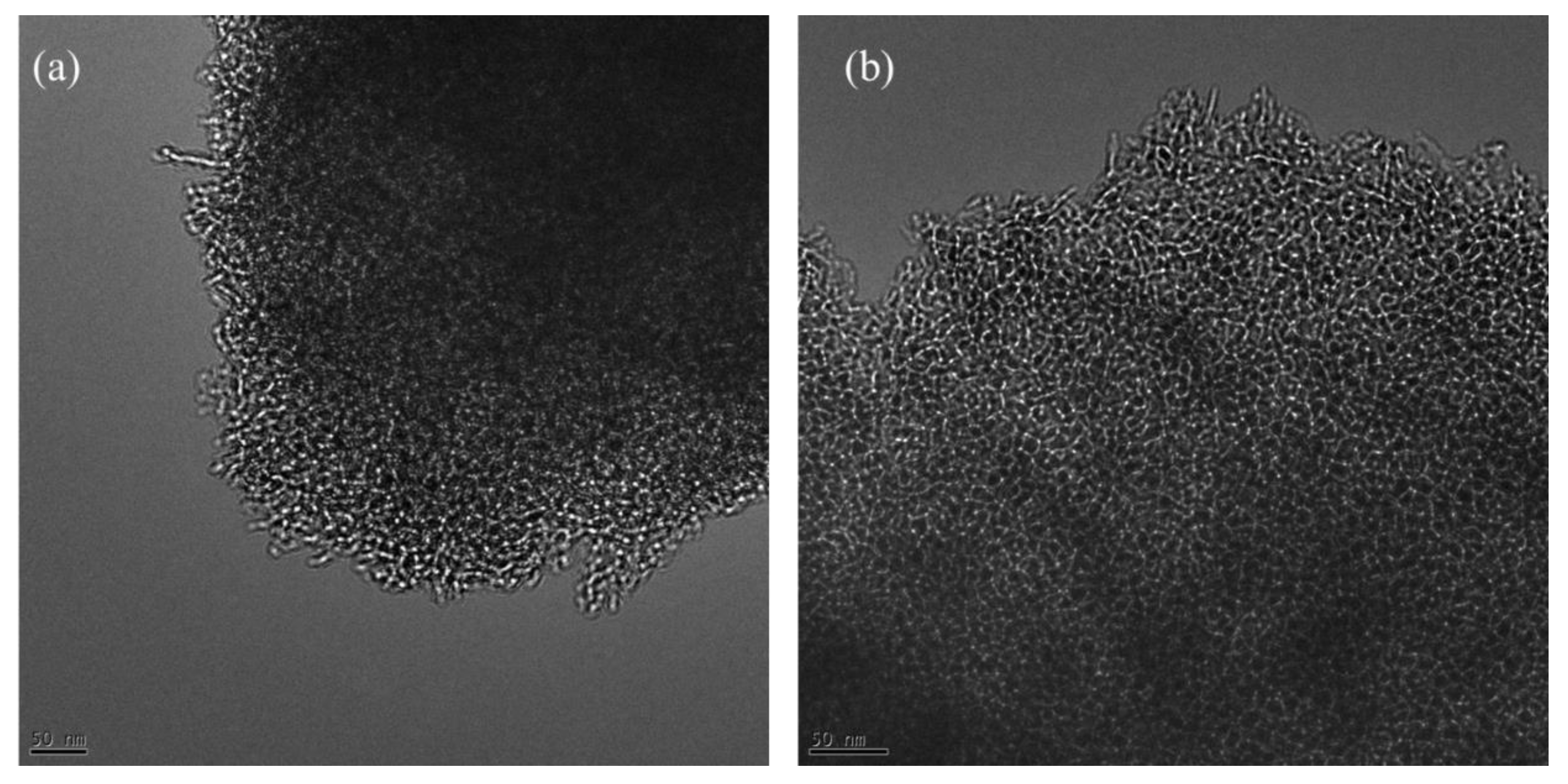 Molecules 28 02002 g003 Molecules 28 02002 g003