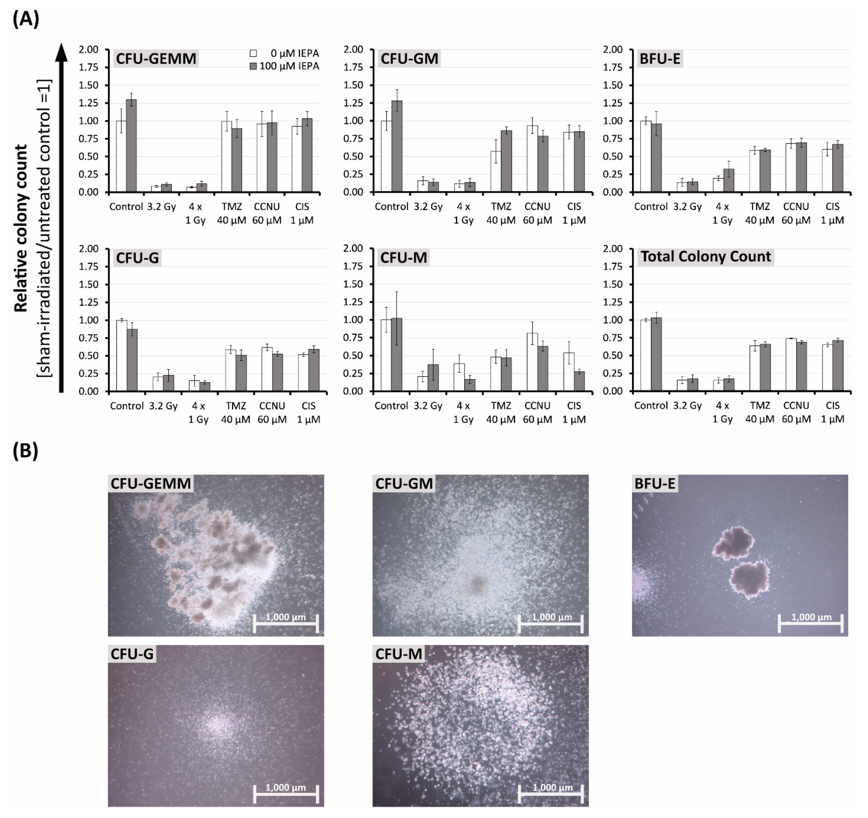 Molecules 28 02008 g007