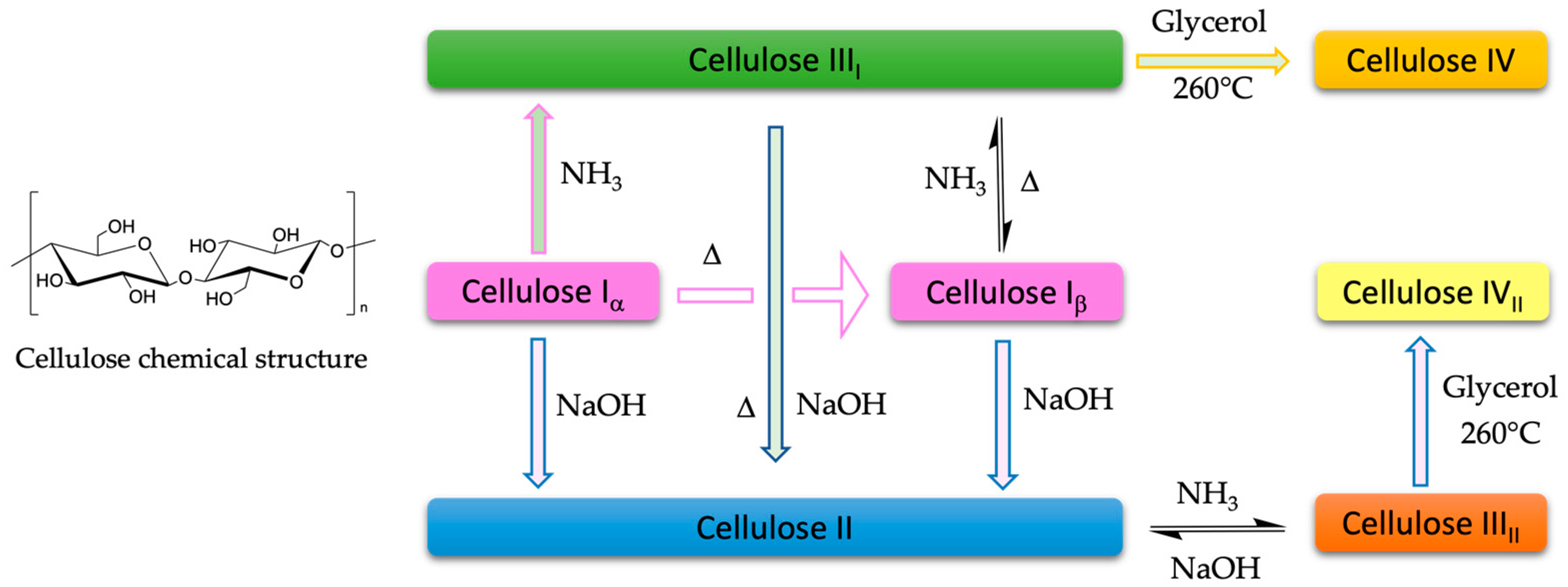 Molecules 28 02009 g001