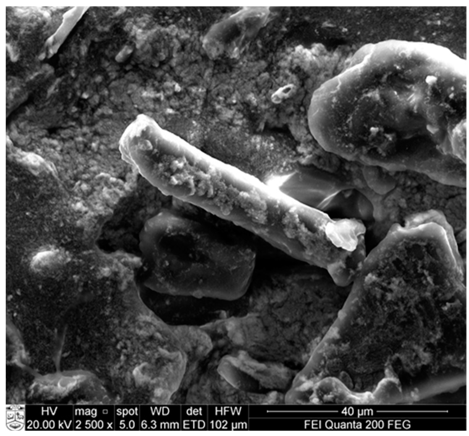 Molecules 28 02009 g010