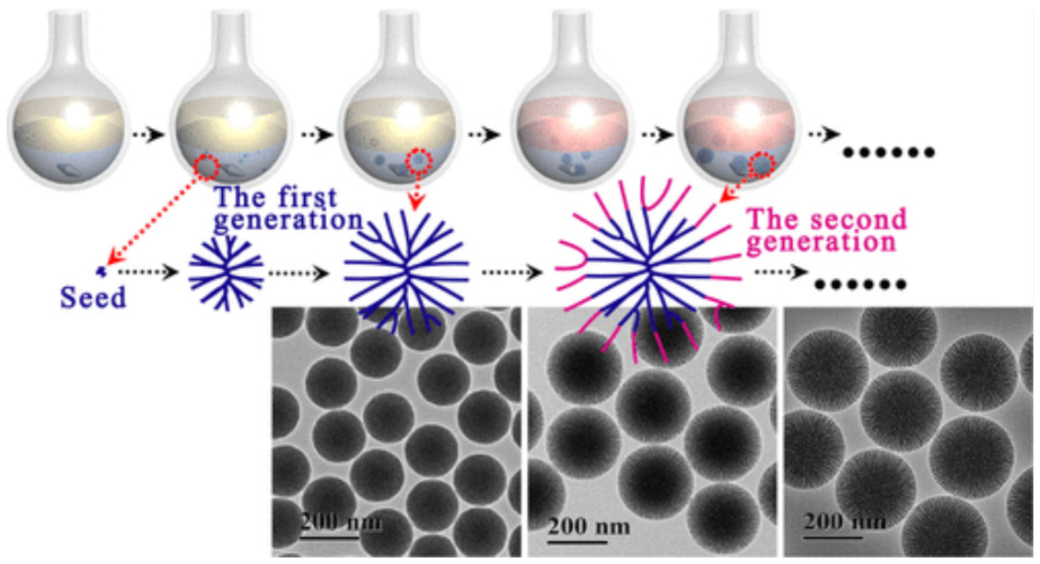 Molecules 28 02013 g001 Molecules 28 02013 g001
