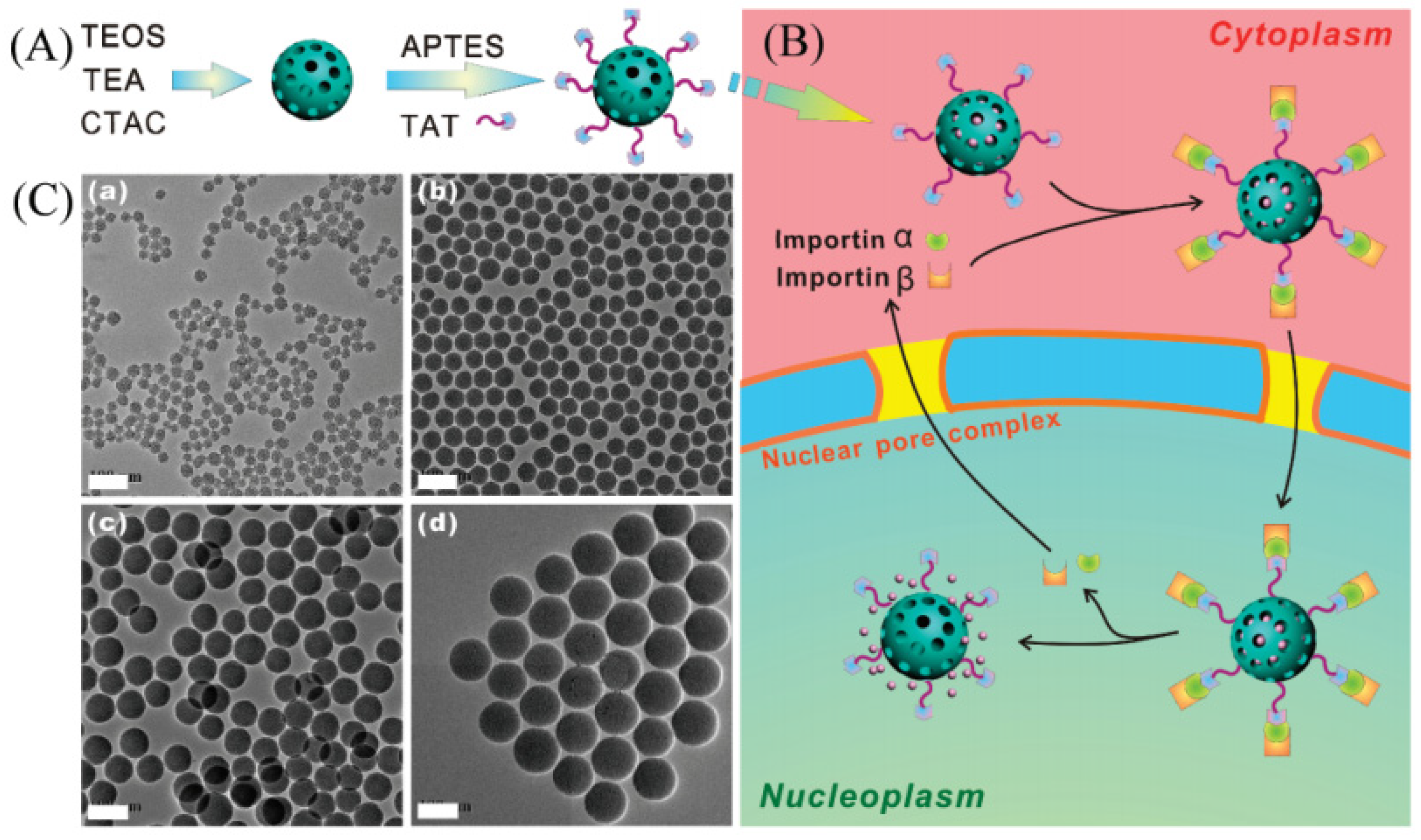 Molecules 28 02013 g004 Molecules 28 02013 g004