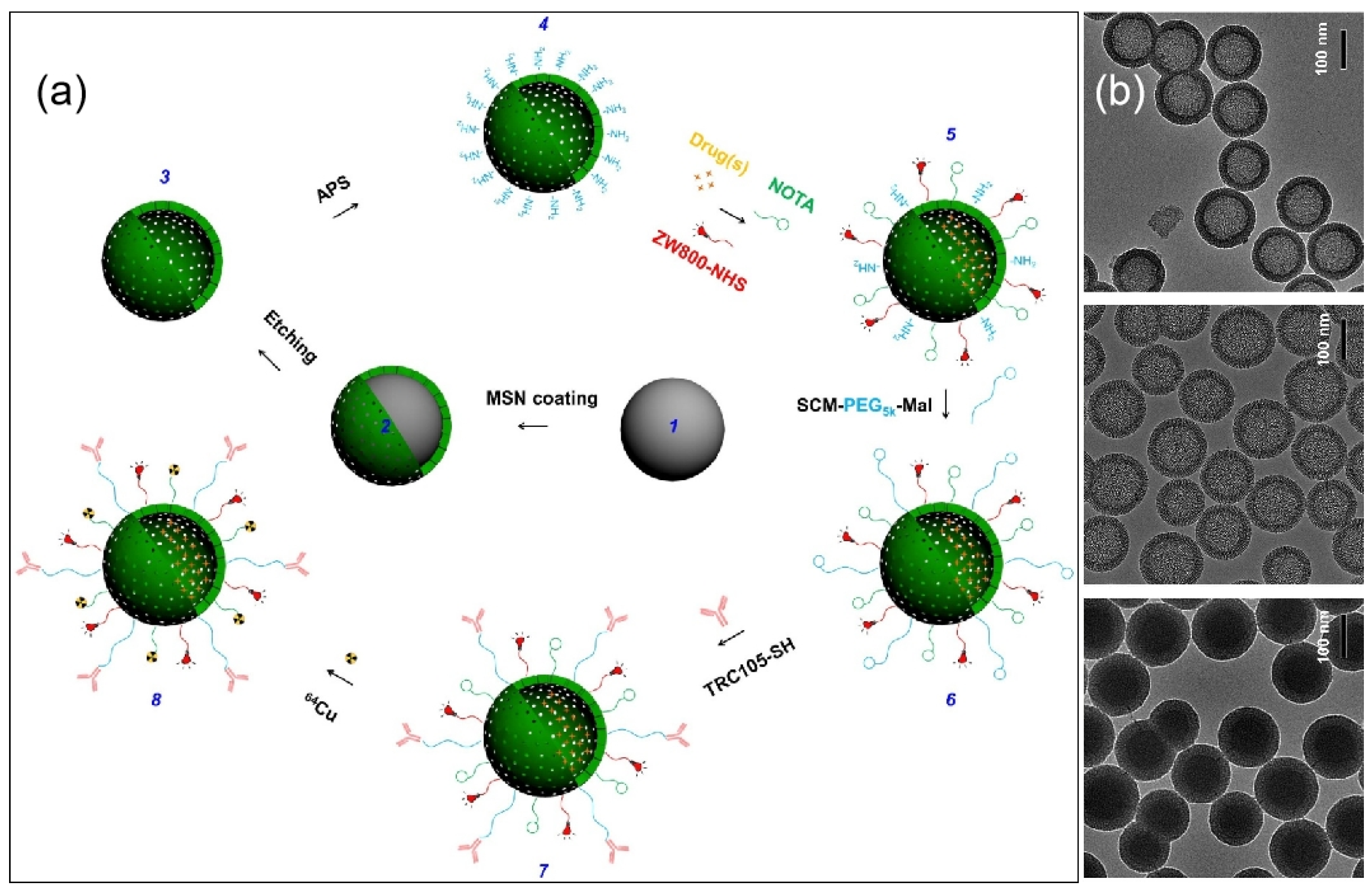 Molecules 28 02013 g007 Molecules 28 02013 g007