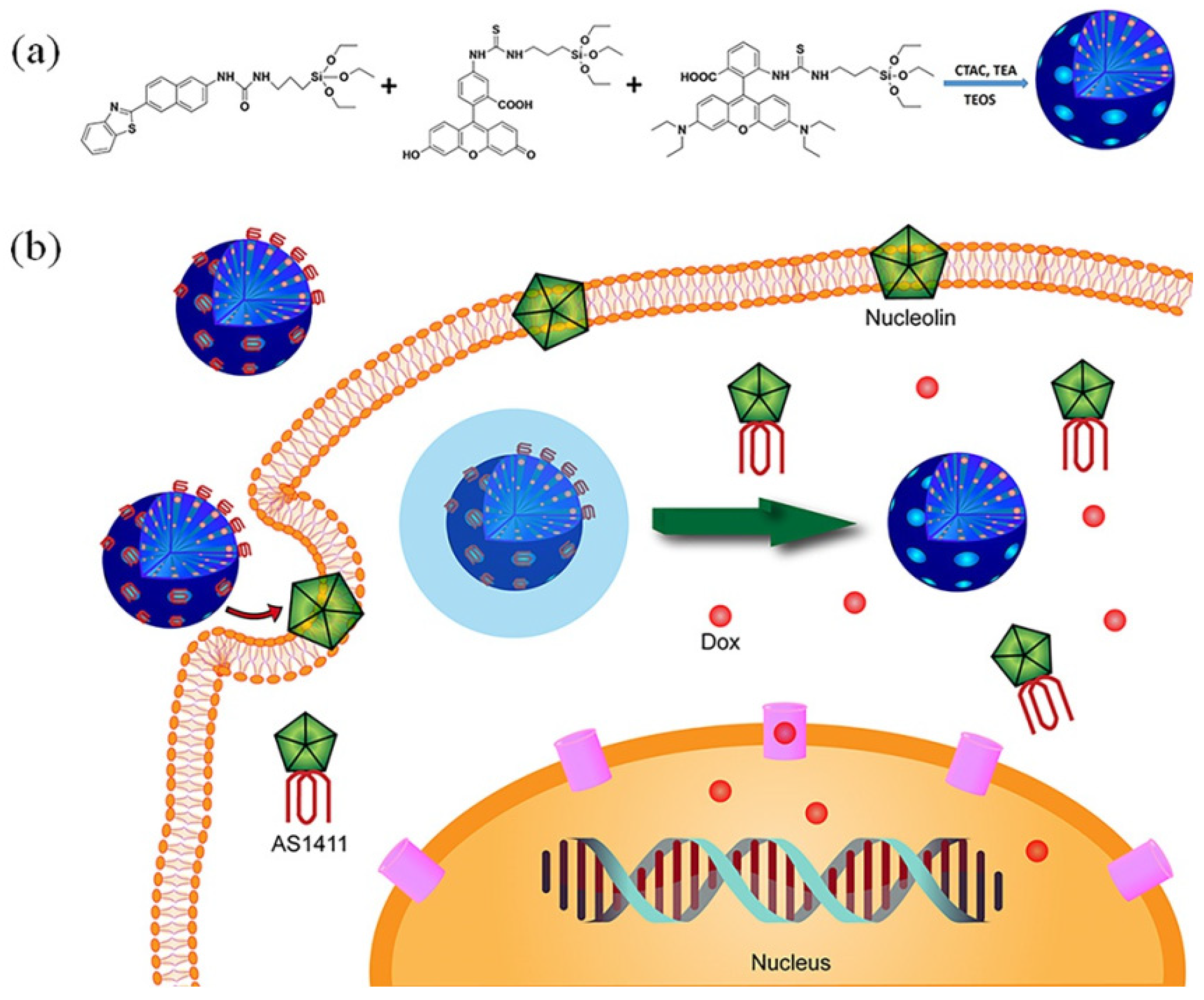 Molecules 28 02013 g008 Molecules 28 02013 g008