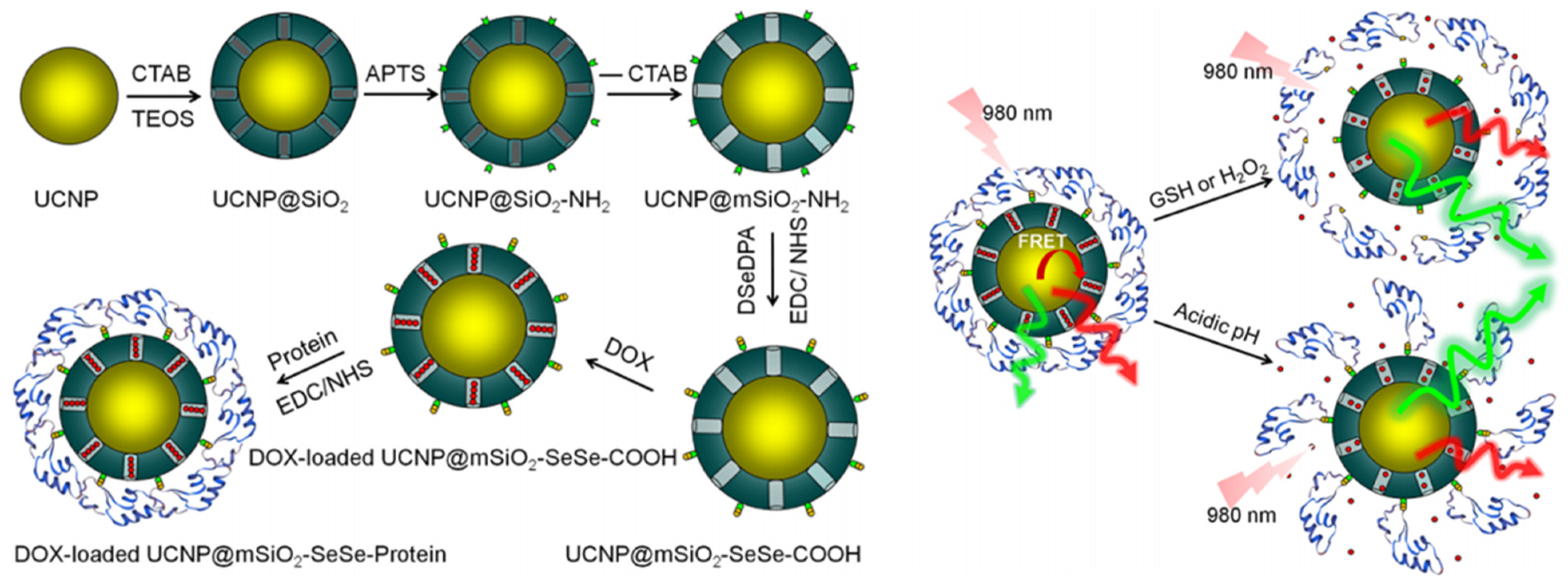 Molecules 28 02013 g009 Molecules 28 02013 g009