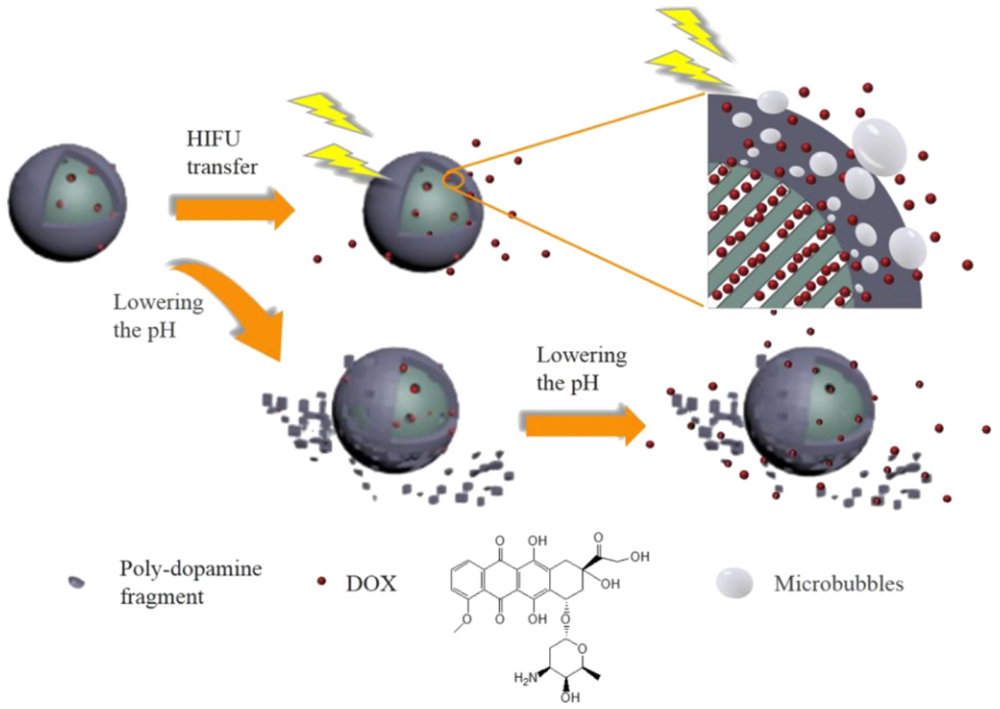 Molecules 28 02013 g010 Molecules 28 02013 g010