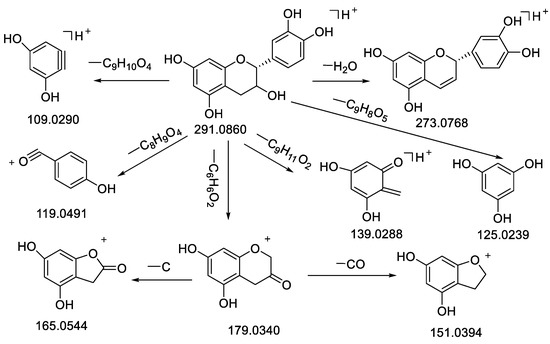 Identification of Differential Compositions of Aqueous