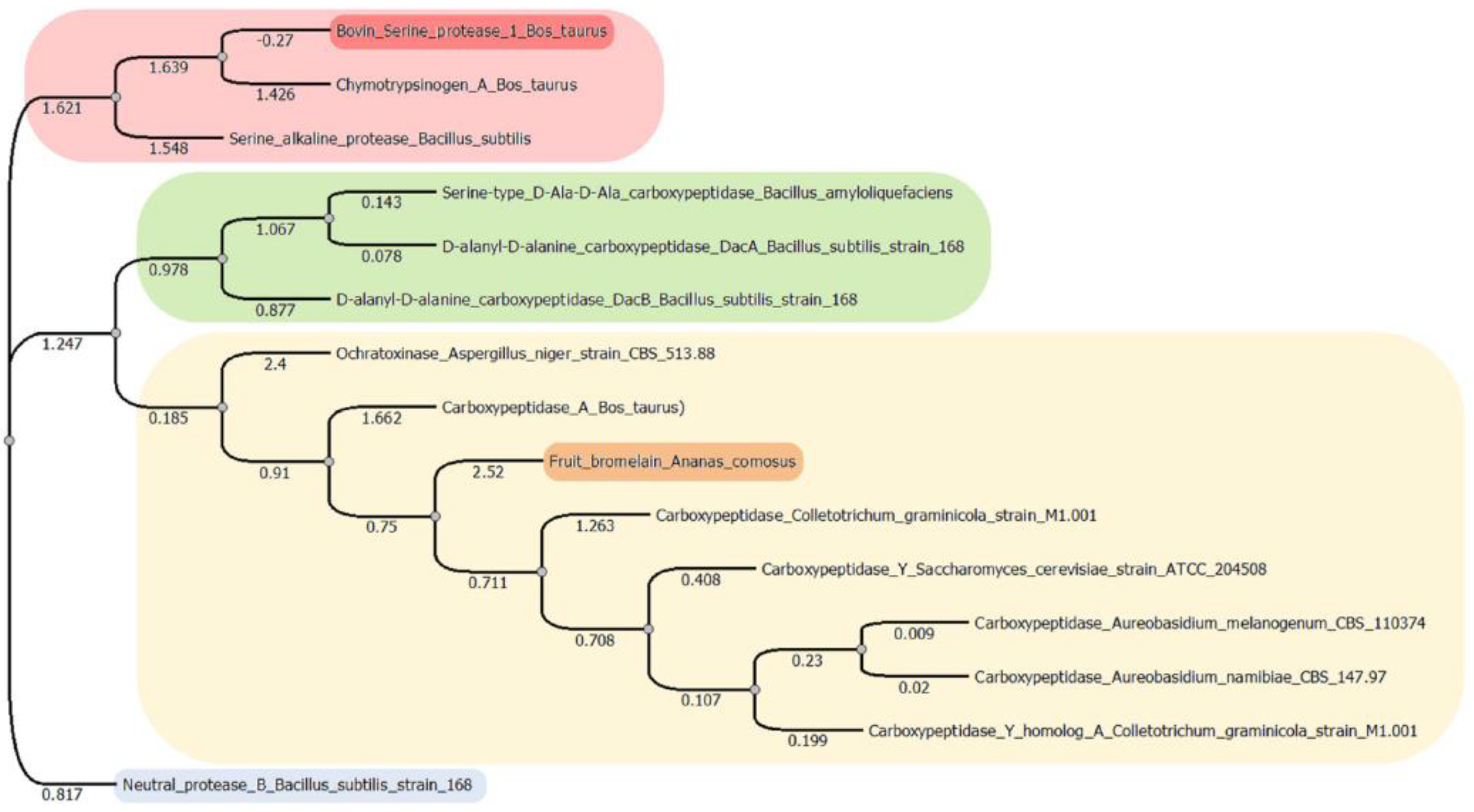 Molecules 28 02019 g001