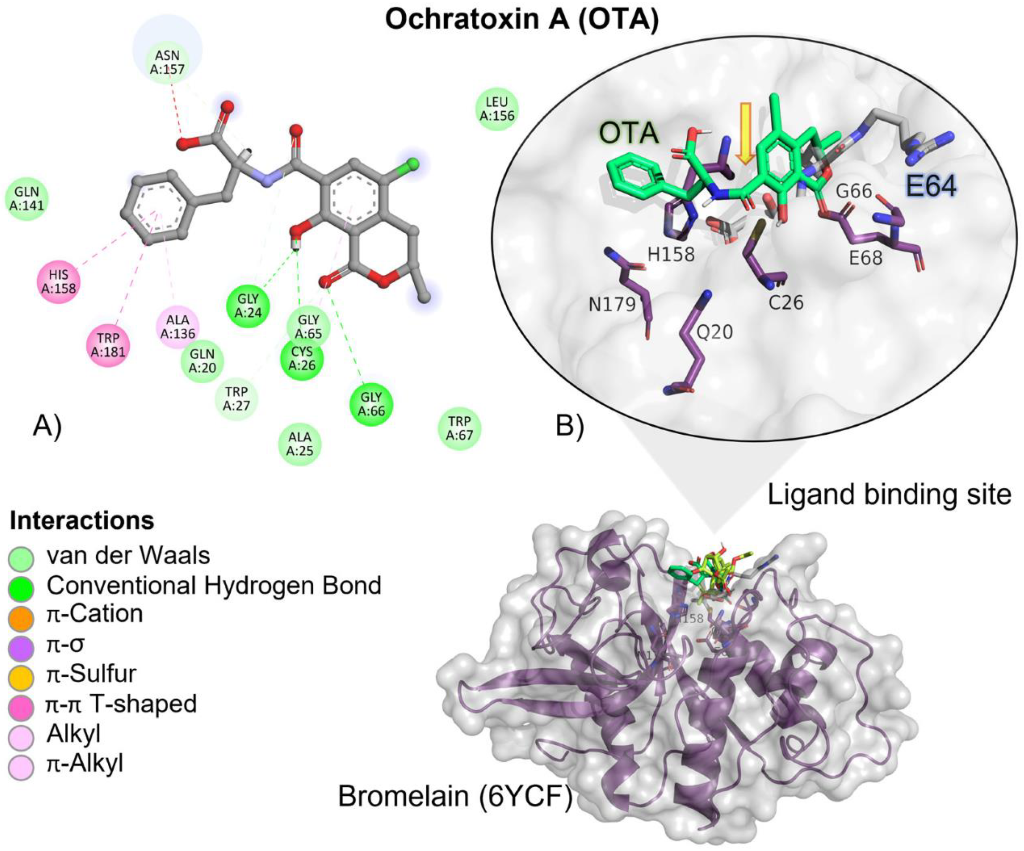 Molecules 28 02019 g004