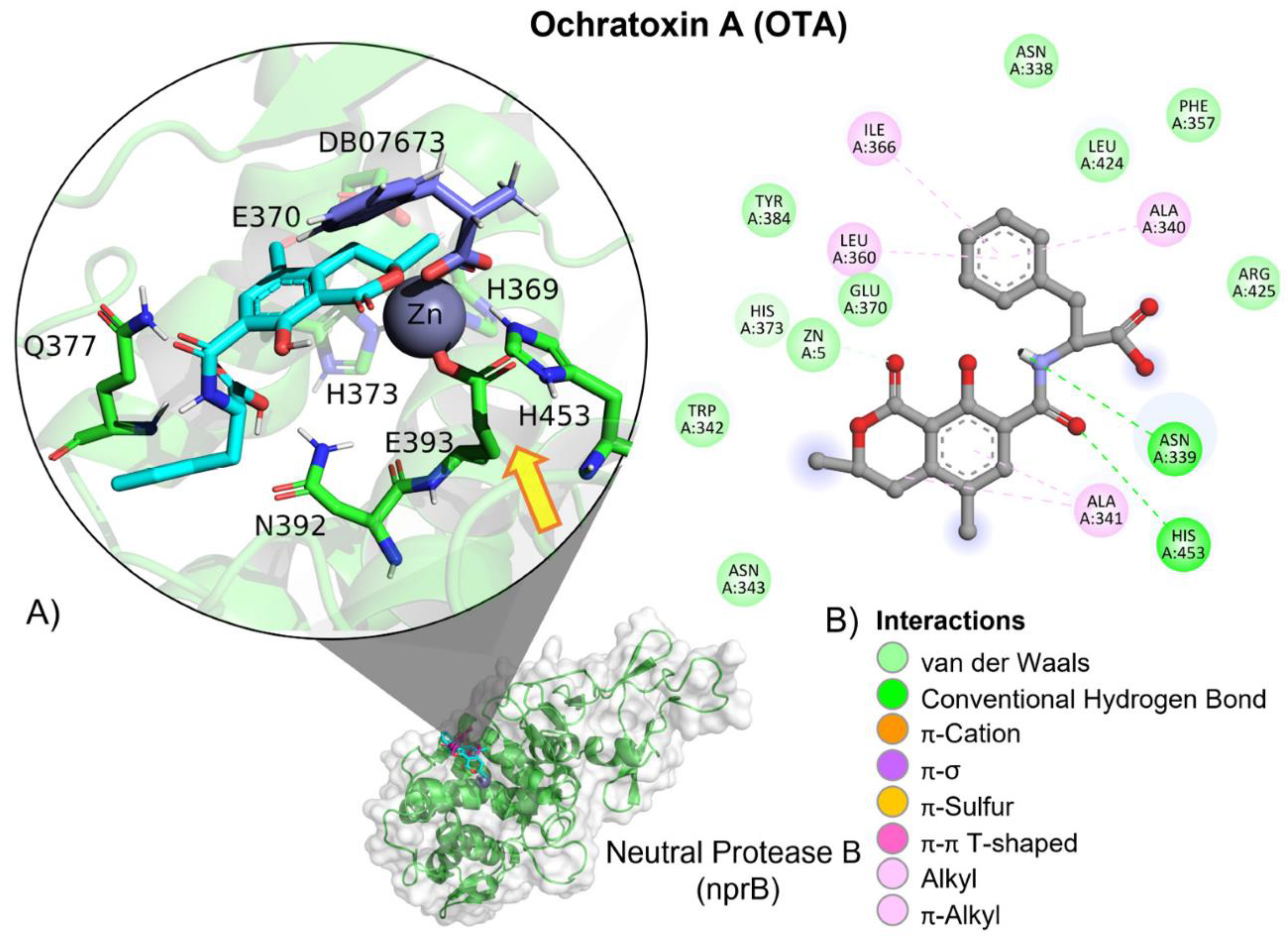 Molecules 28 02019 g020