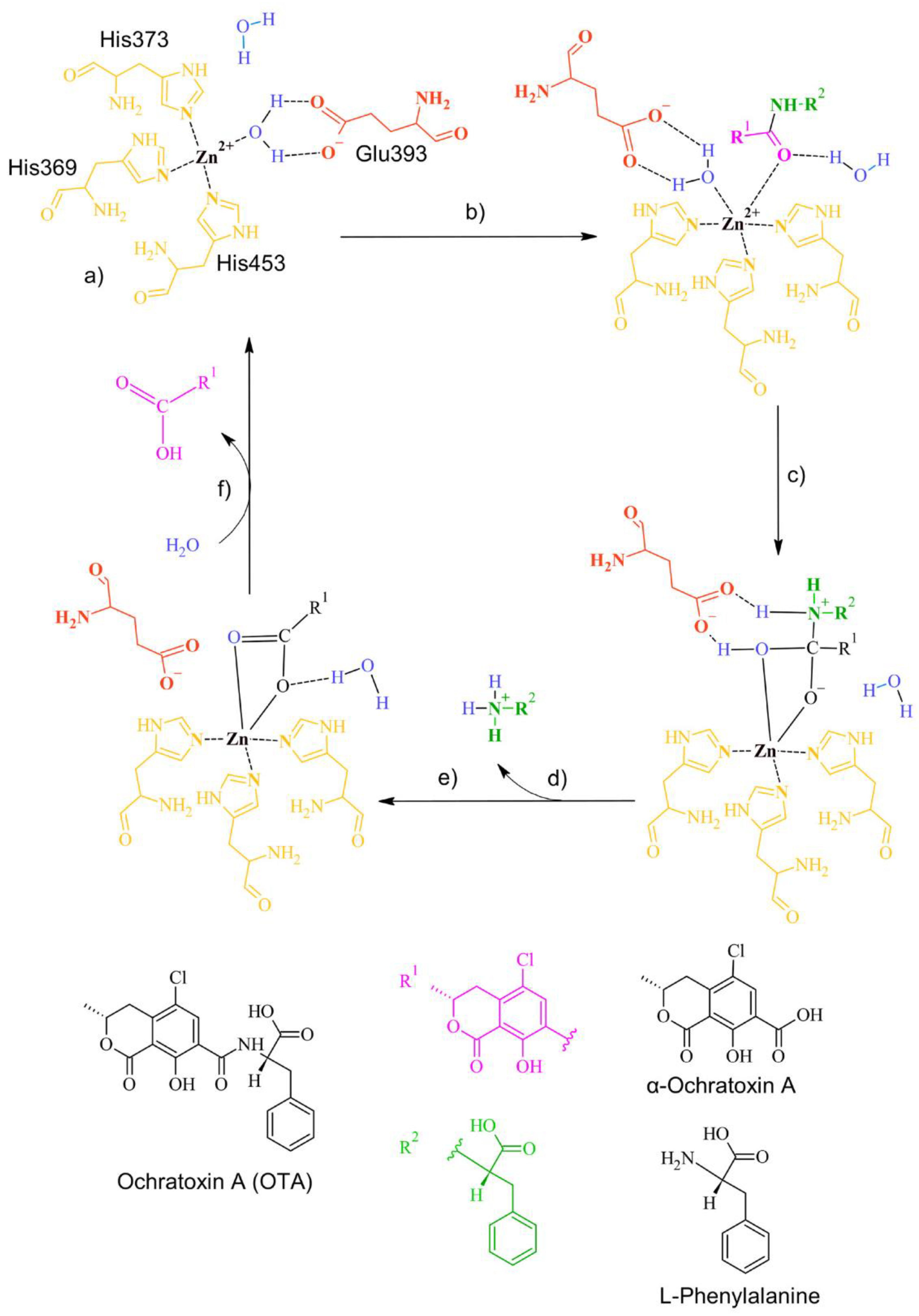 Molecules 28 02019 g021