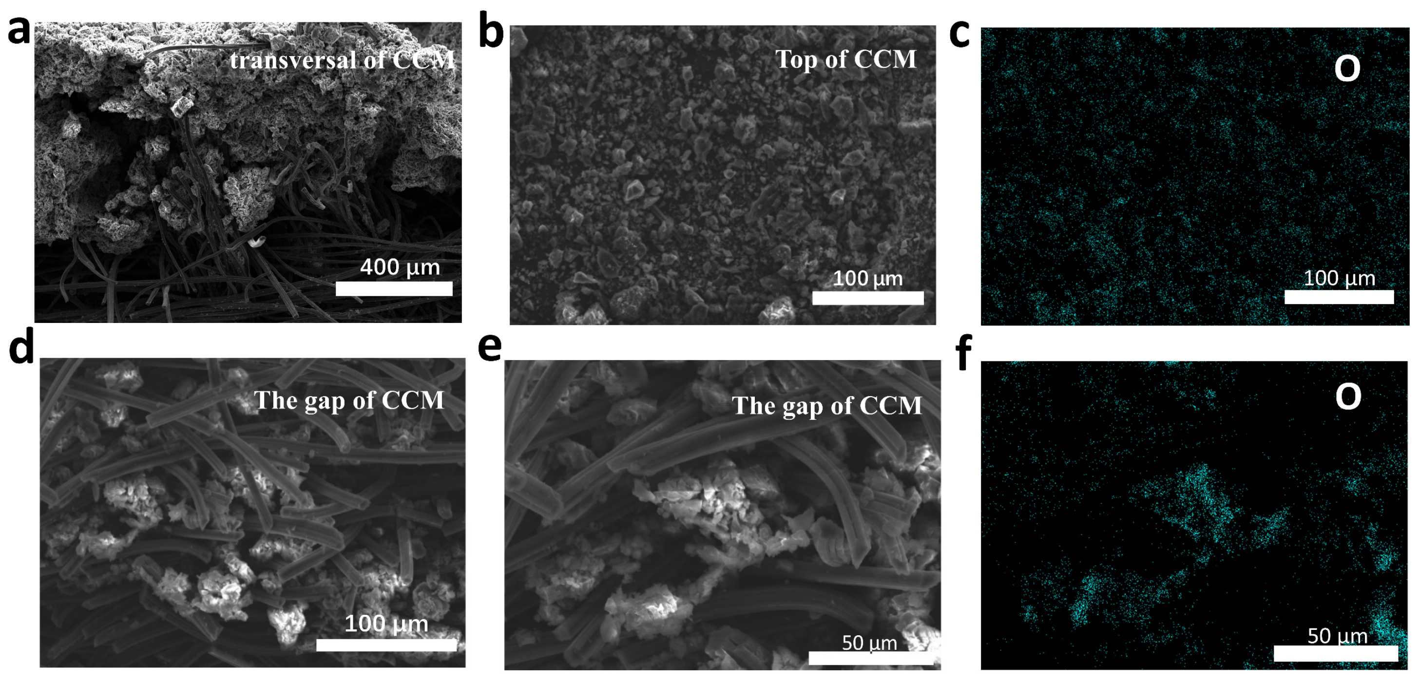Molecules 28 02024 g005 Molecules 28 02024 g005